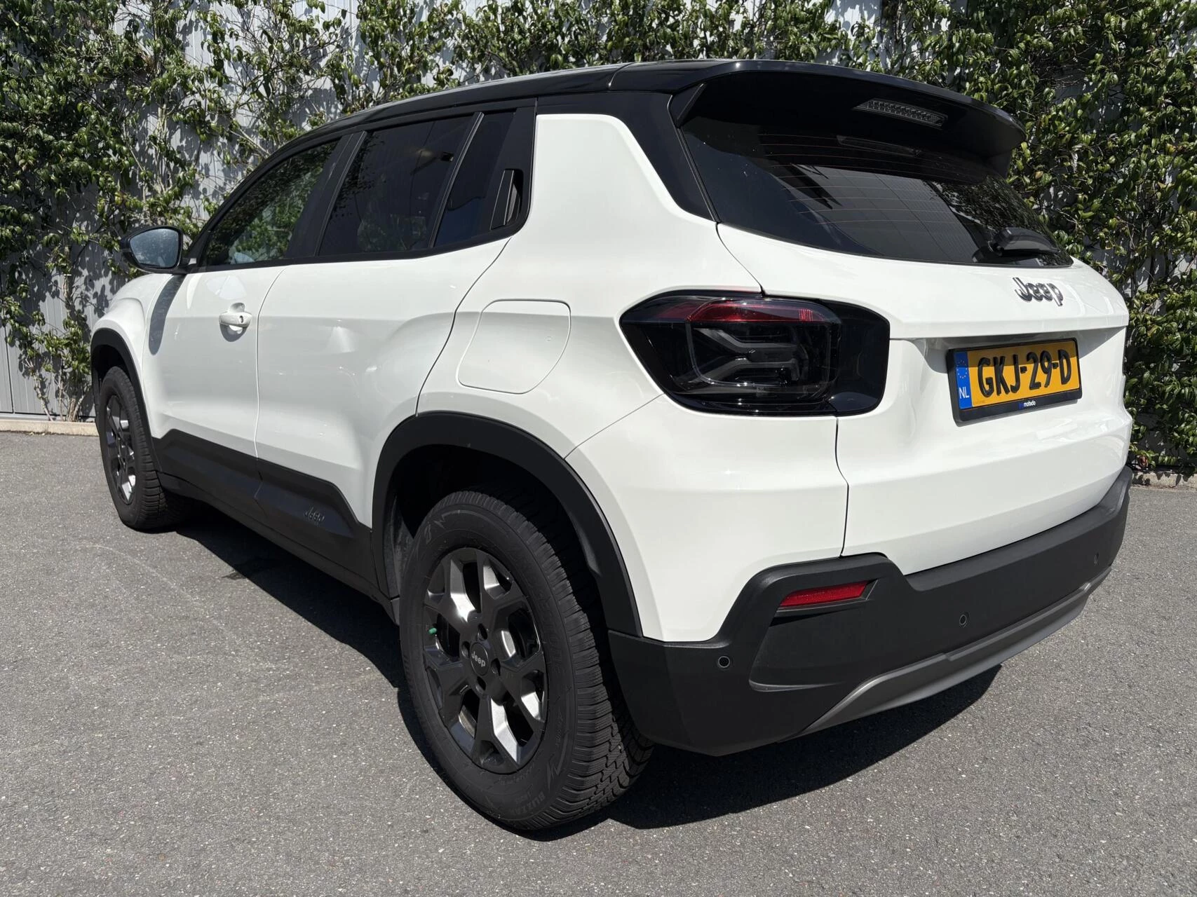 Hoofdafbeelding Jeep Avenger