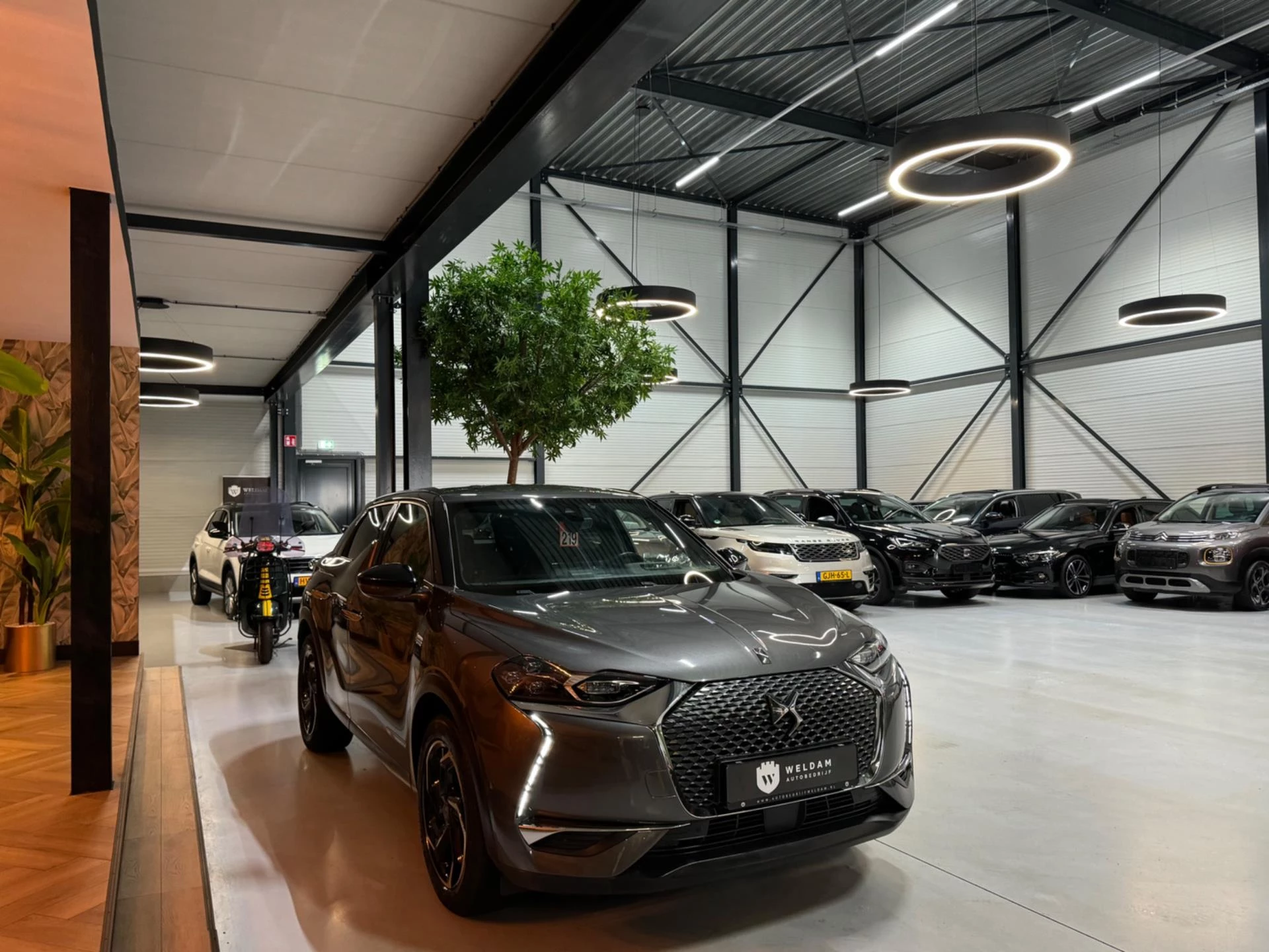 Hoofdafbeelding DS DS 3