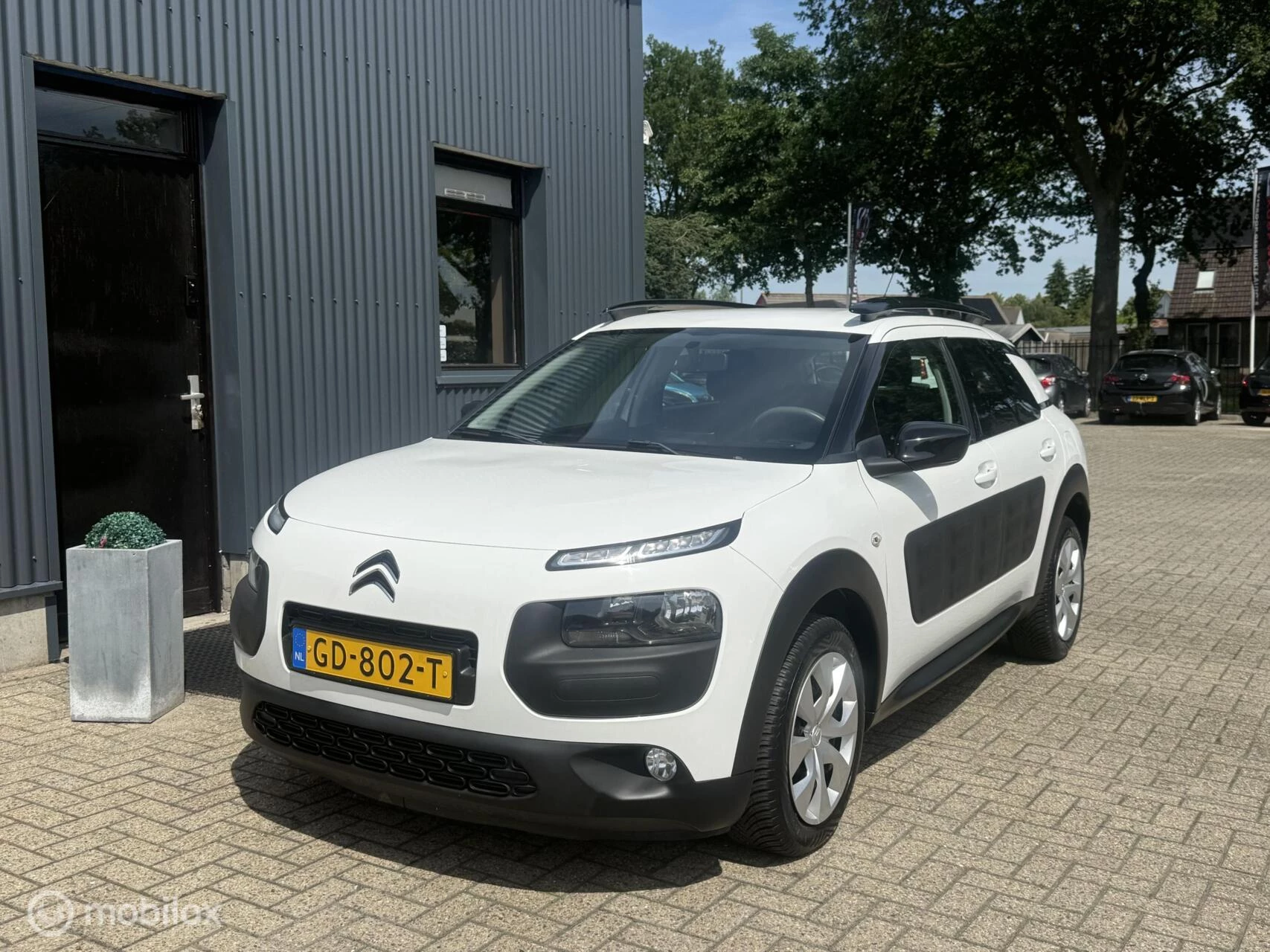 Hoofdafbeelding Citroën C4 Cactus