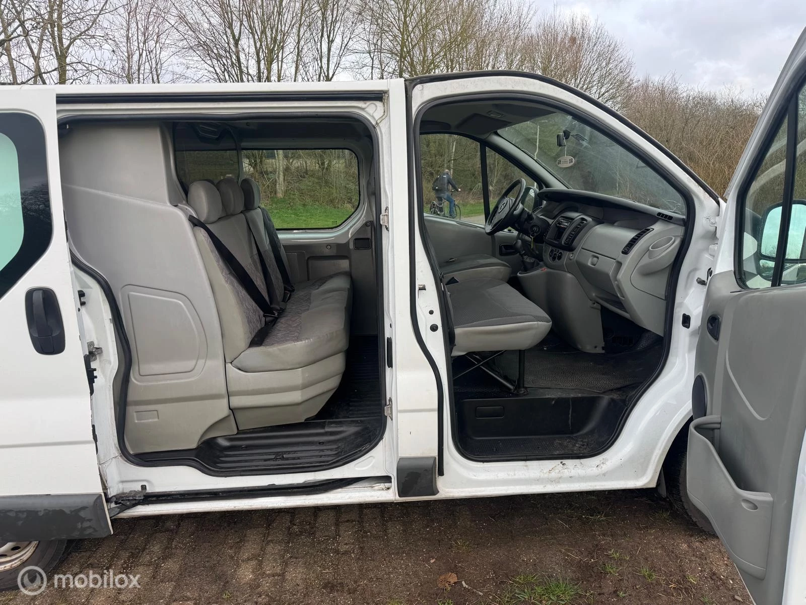 Hoofdafbeelding Opel Vivaro