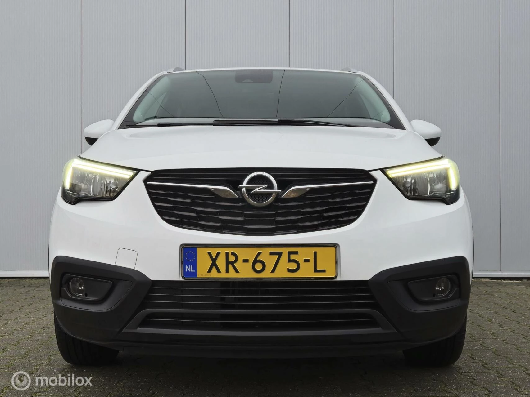 Hoofdafbeelding Opel Crossland X