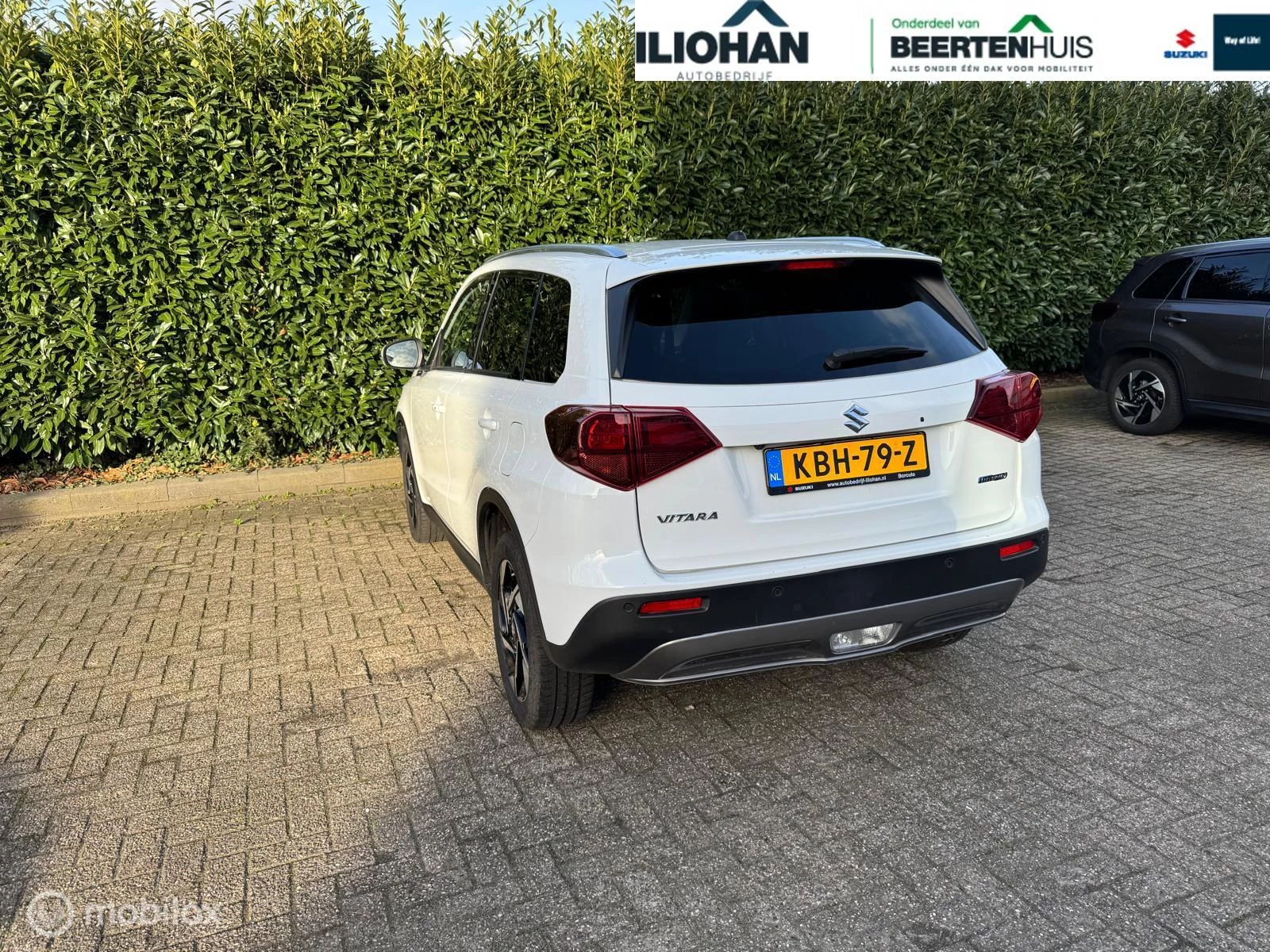 Hoofdafbeelding Suzuki Vitara