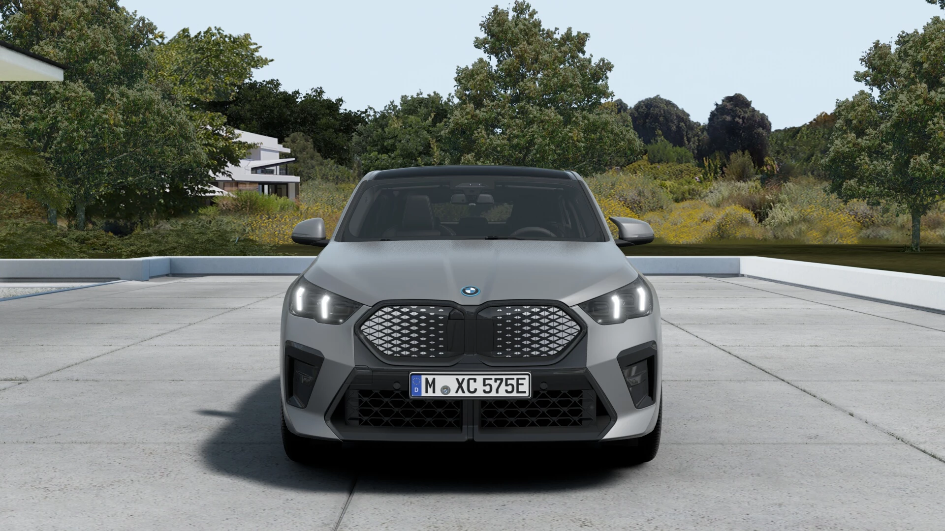 Hoofdafbeelding BMW iX2