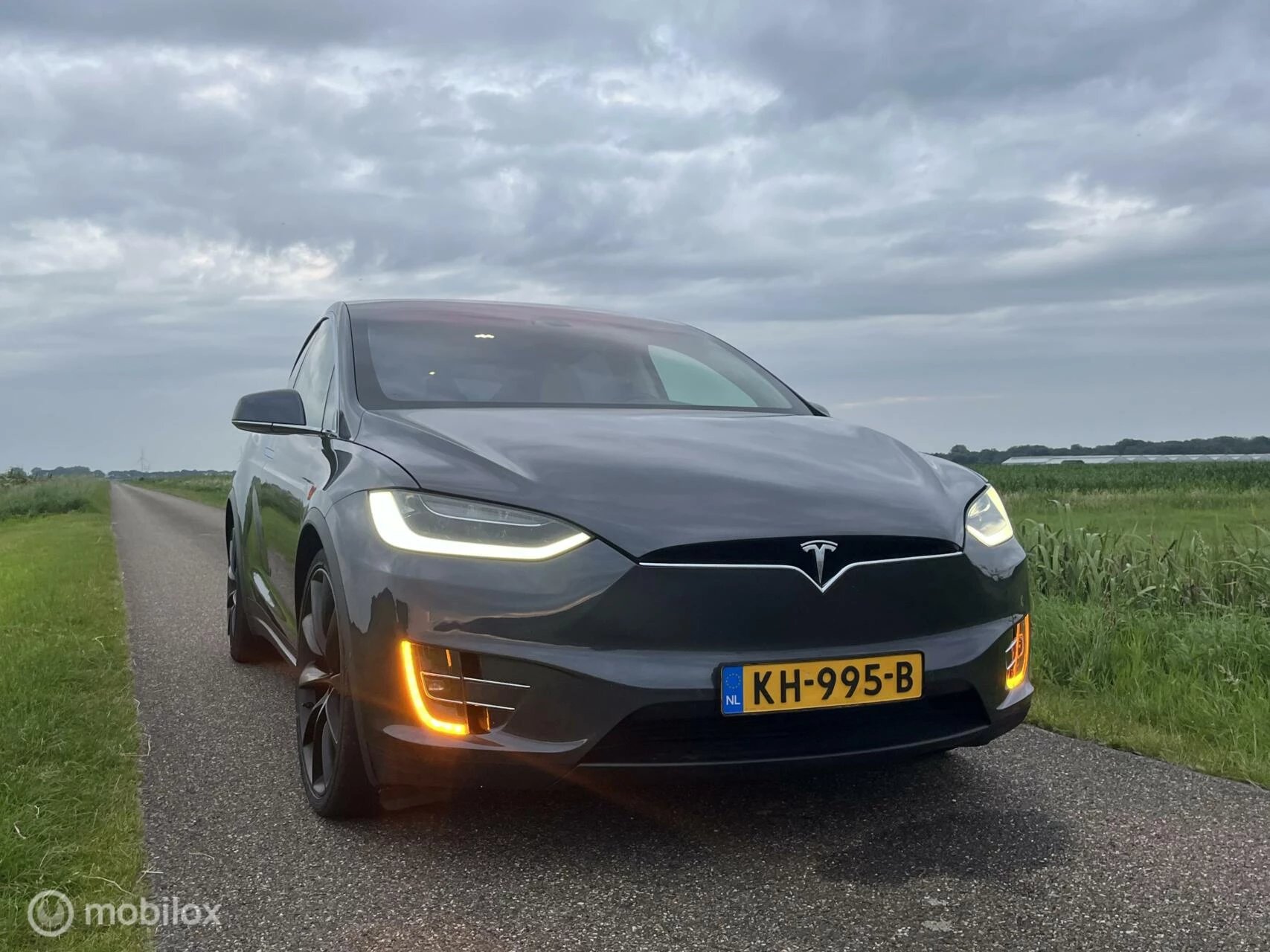 Hoofdafbeelding Tesla Model X