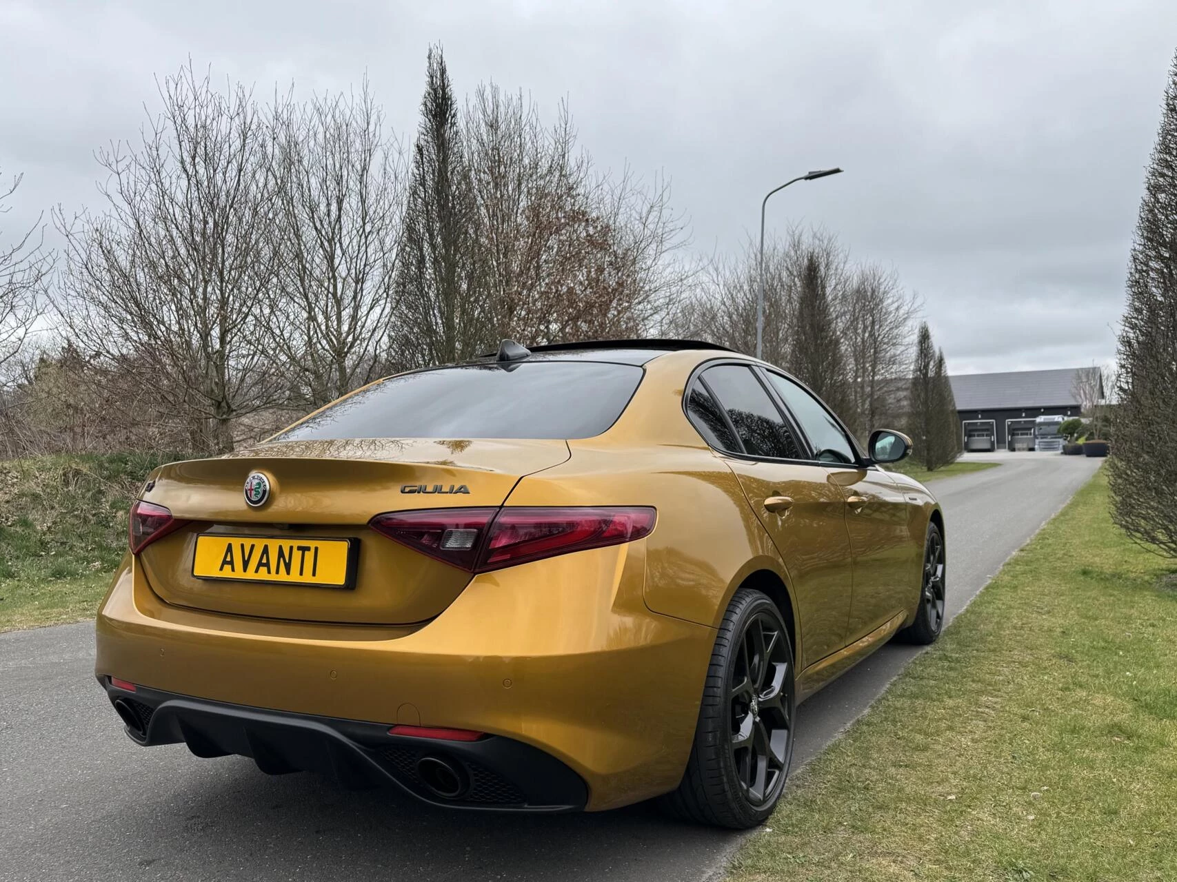 Hoofdafbeelding Alfa Romeo Giulia