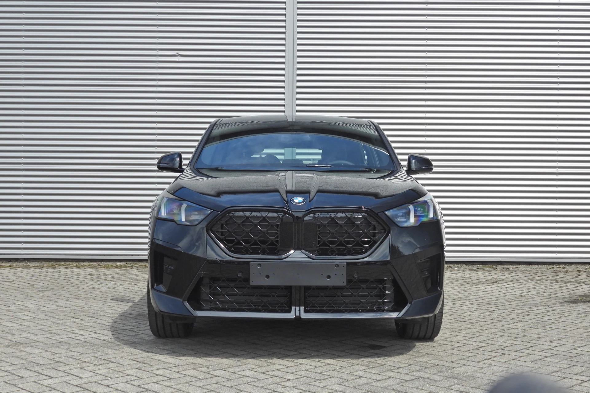 Hoofdafbeelding BMW X2
