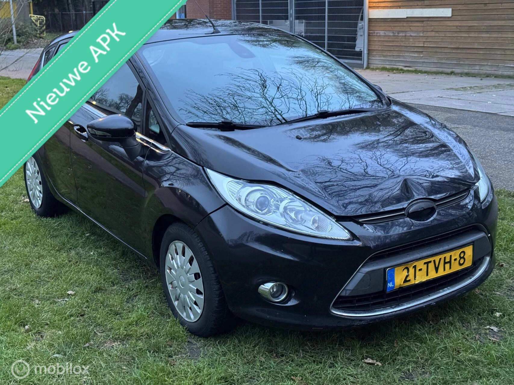 Hoofdafbeelding Ford Fiesta