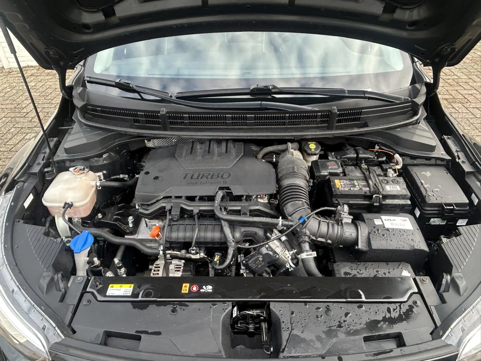 Hoofdafbeelding Kia Stonic