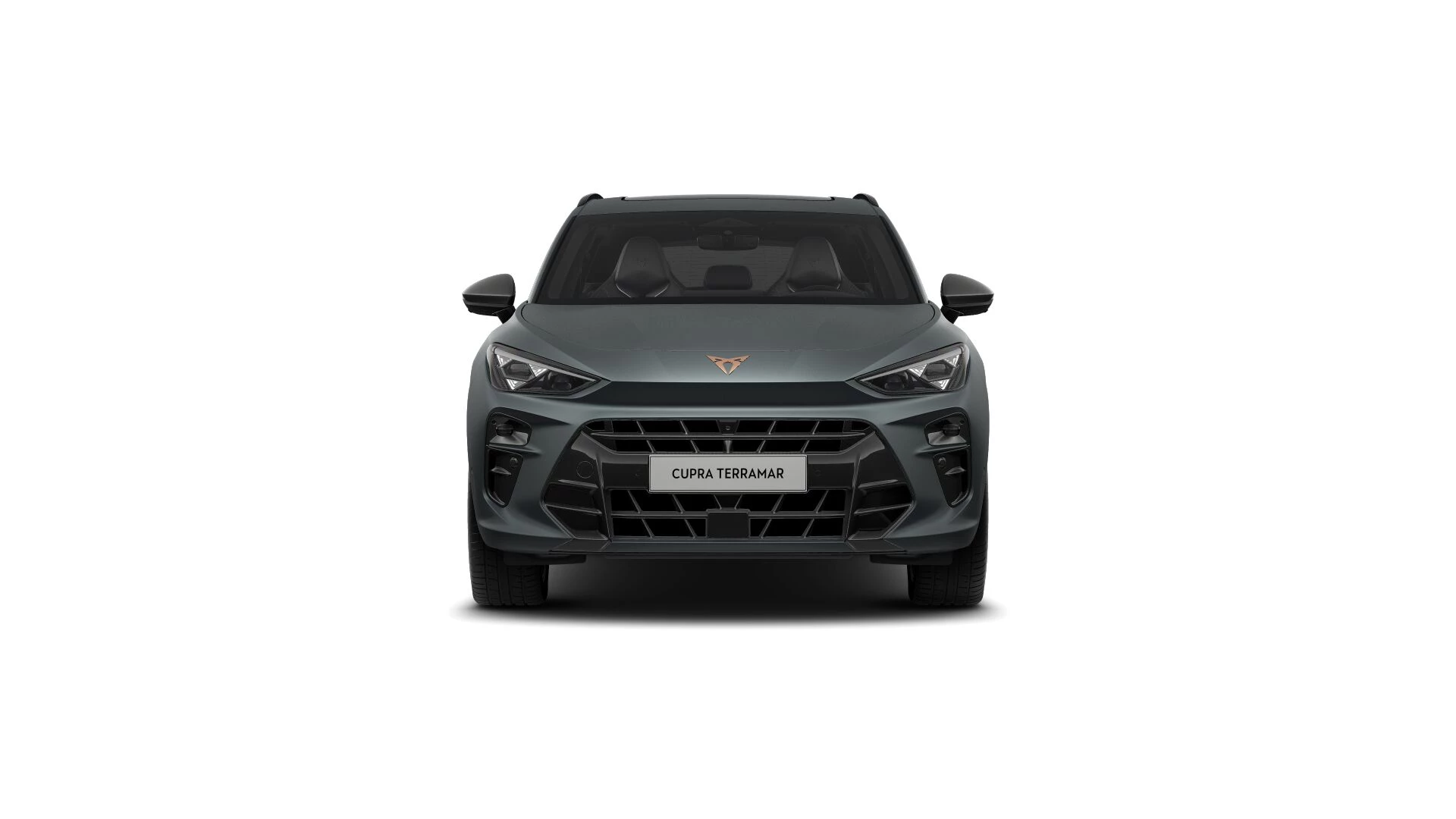 Hoofdafbeelding CUPRA Terramar