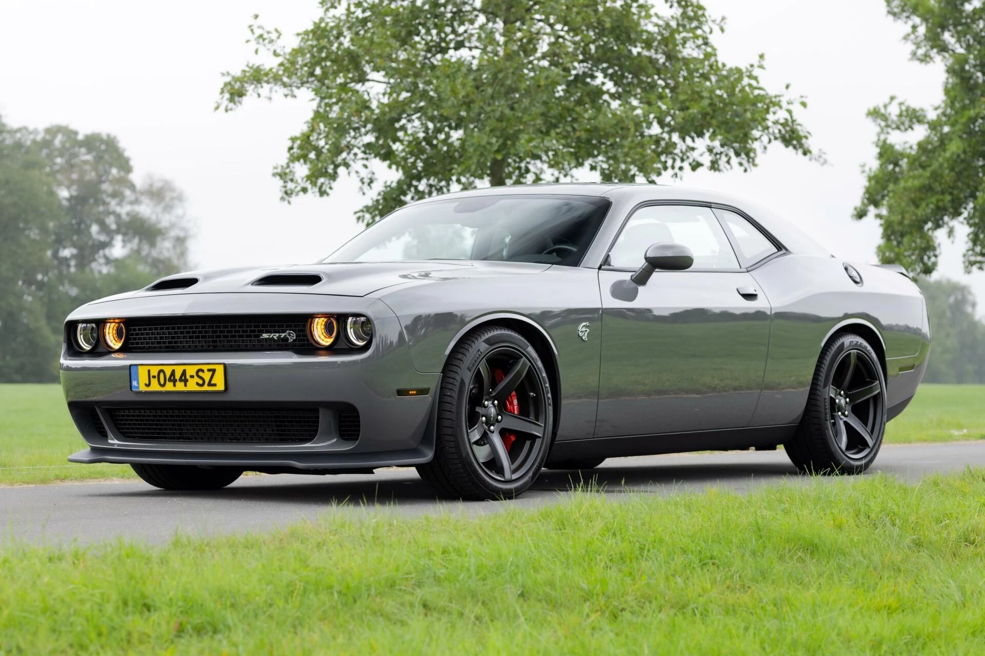 Hoofdafbeelding Dodge Challenger