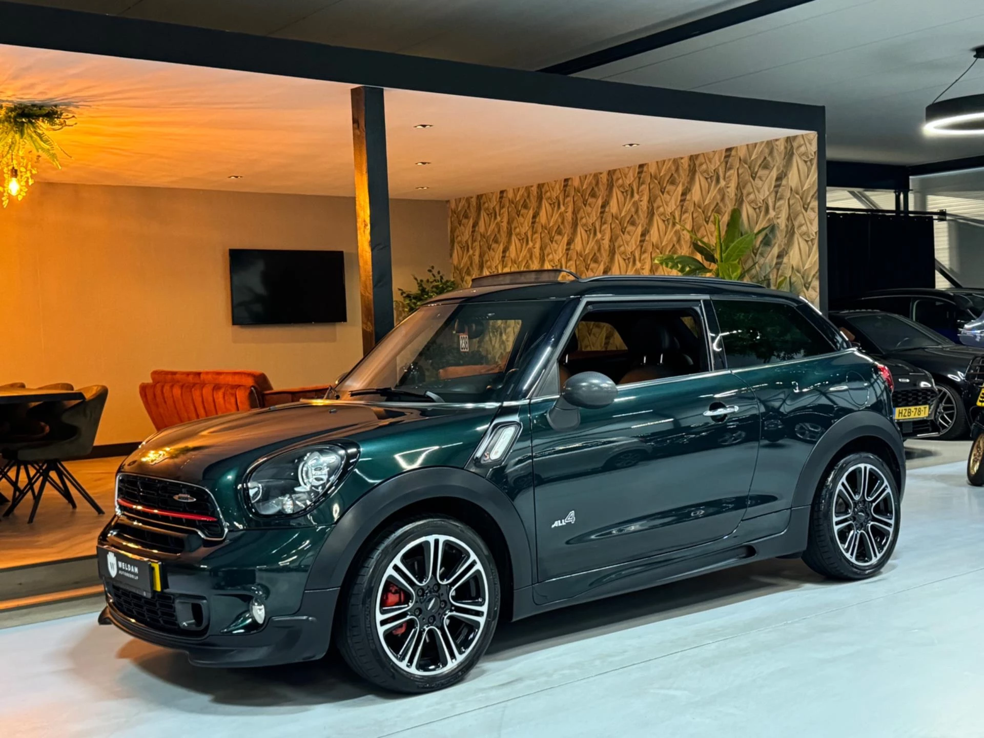 Hoofdafbeelding MINI Paceman