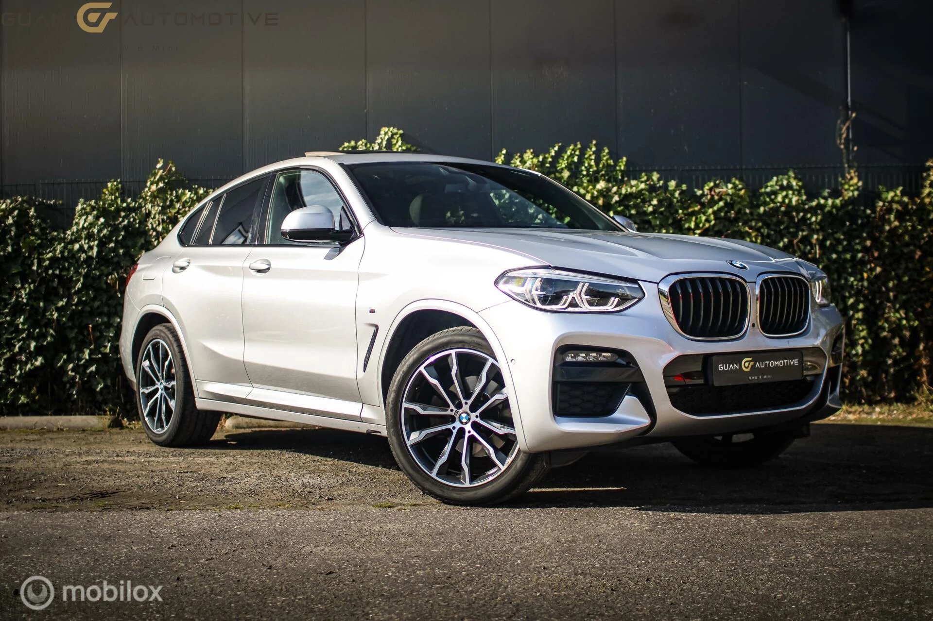 Hoofdafbeelding BMW X4