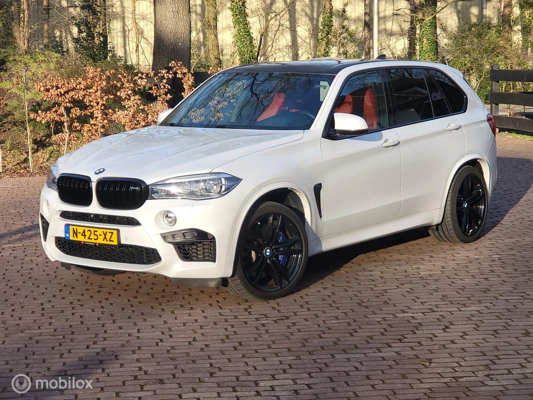 Hoofdafbeelding BMW X5