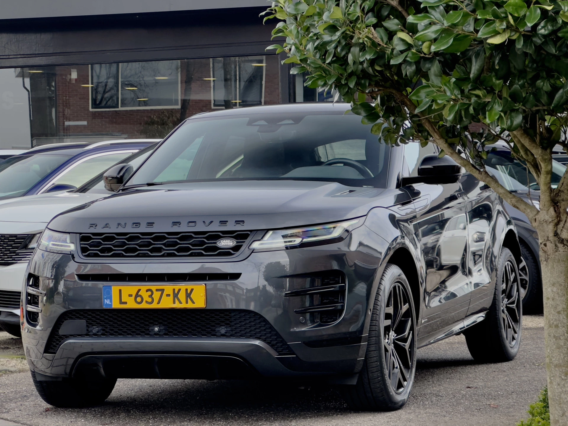 Hoofdafbeelding Land Rover Range Rover Evoque