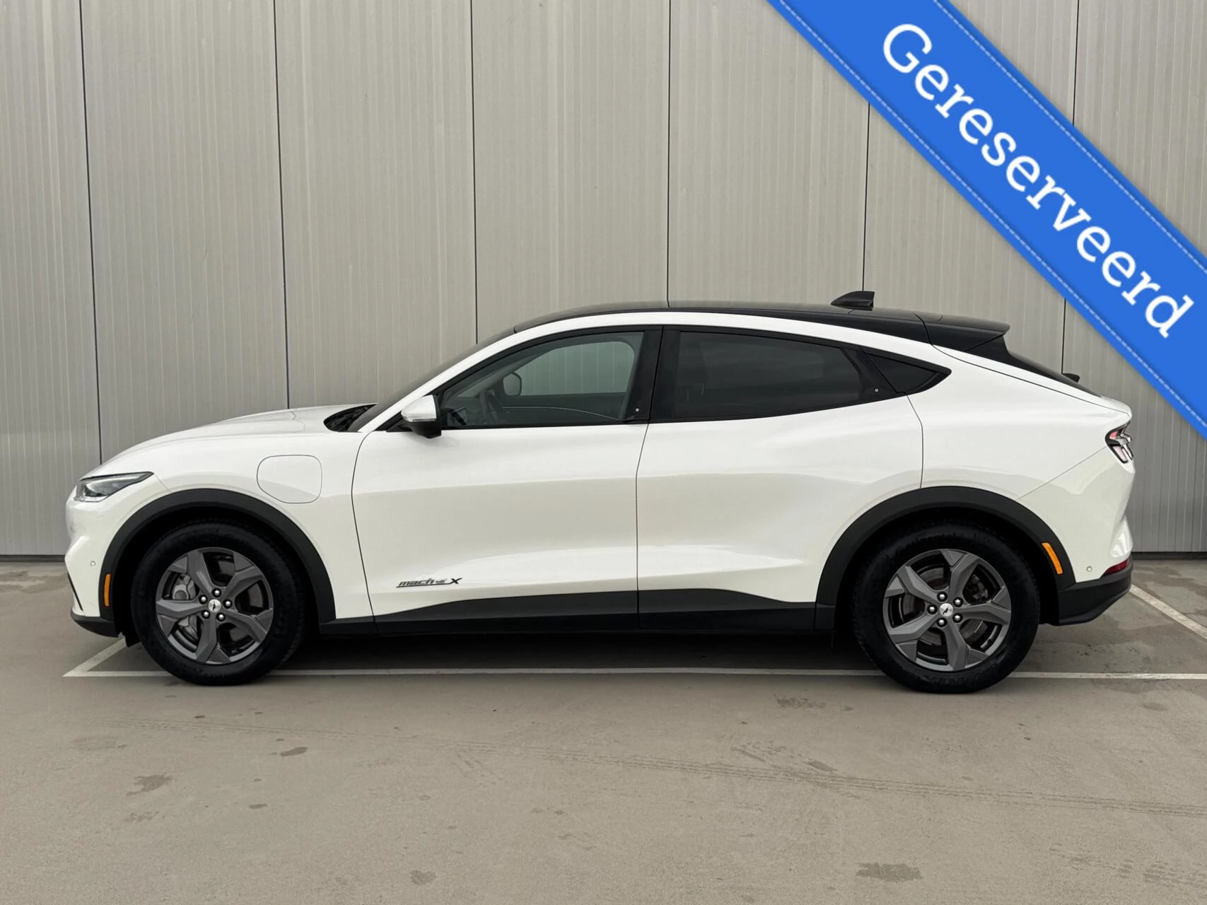 Hoofdafbeelding Ford Mustang Mach-E