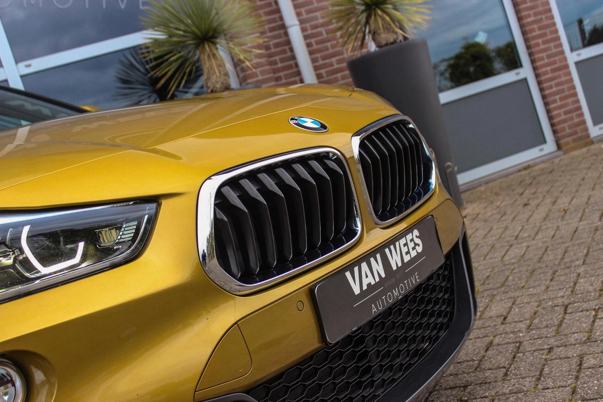 Hoofdafbeelding BMW X2