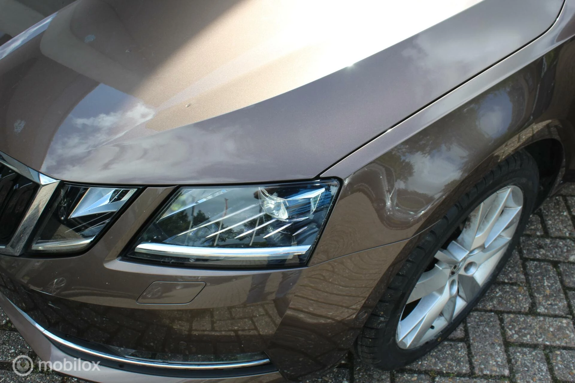 Hoofdafbeelding Škoda Octavia