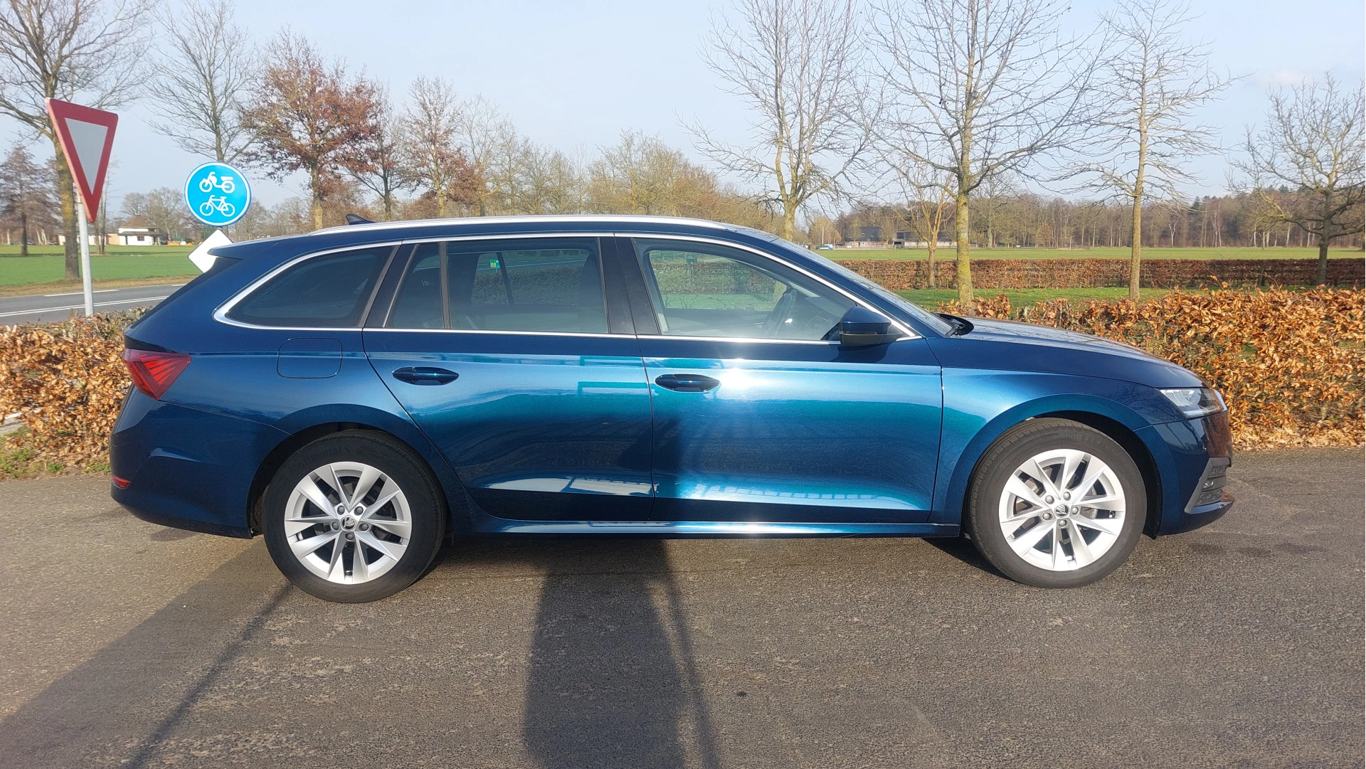 Hoofdafbeelding Škoda Octavia