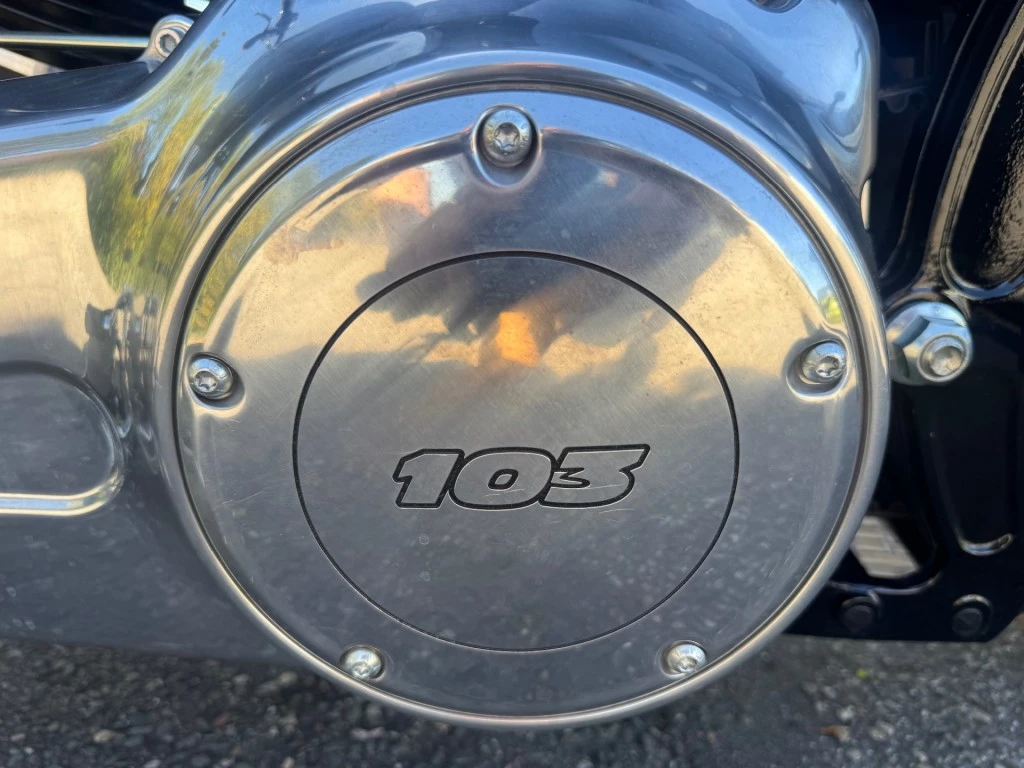 Hoofdafbeelding Harley-Davidson Softail