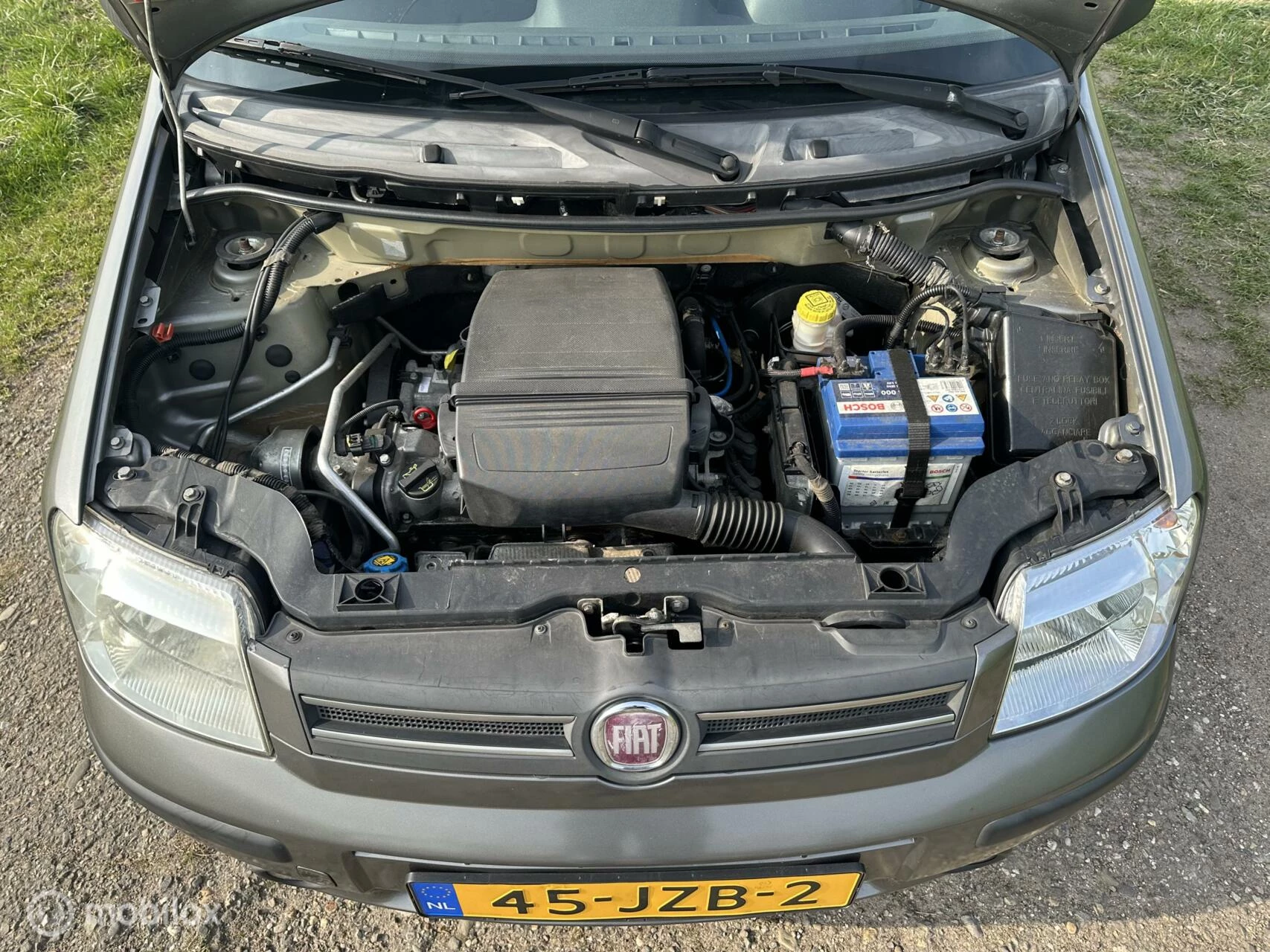Hoofdafbeelding Fiat Panda