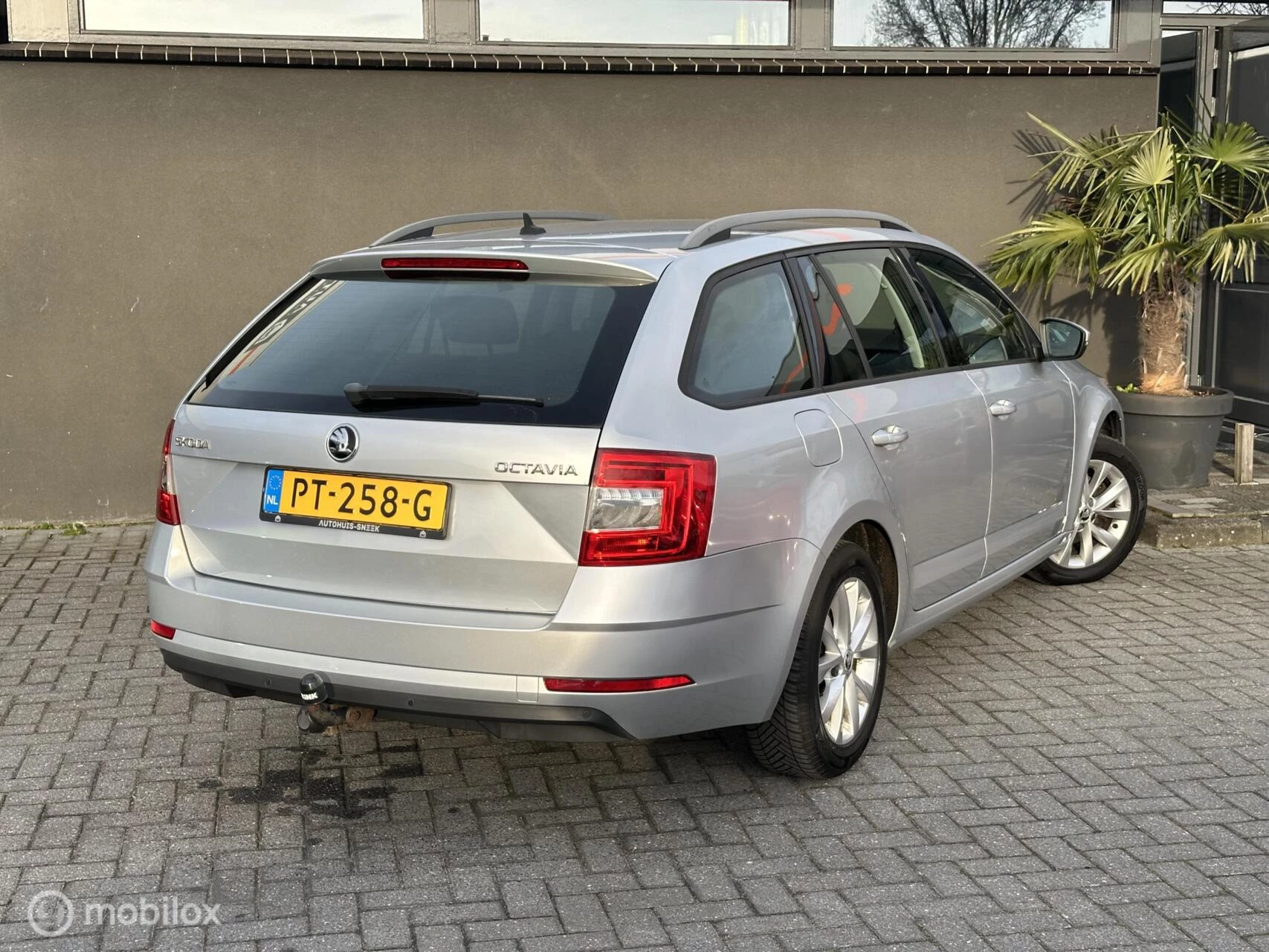 Hoofdafbeelding Škoda Octavia