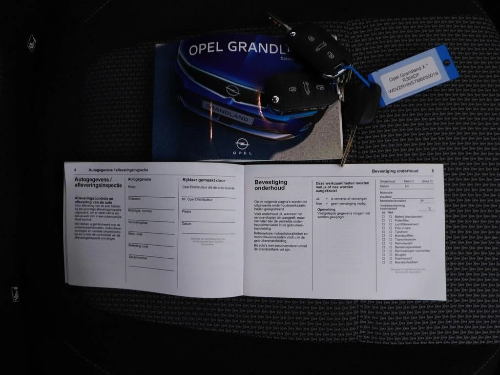 Hoofdafbeelding Opel Grandland X