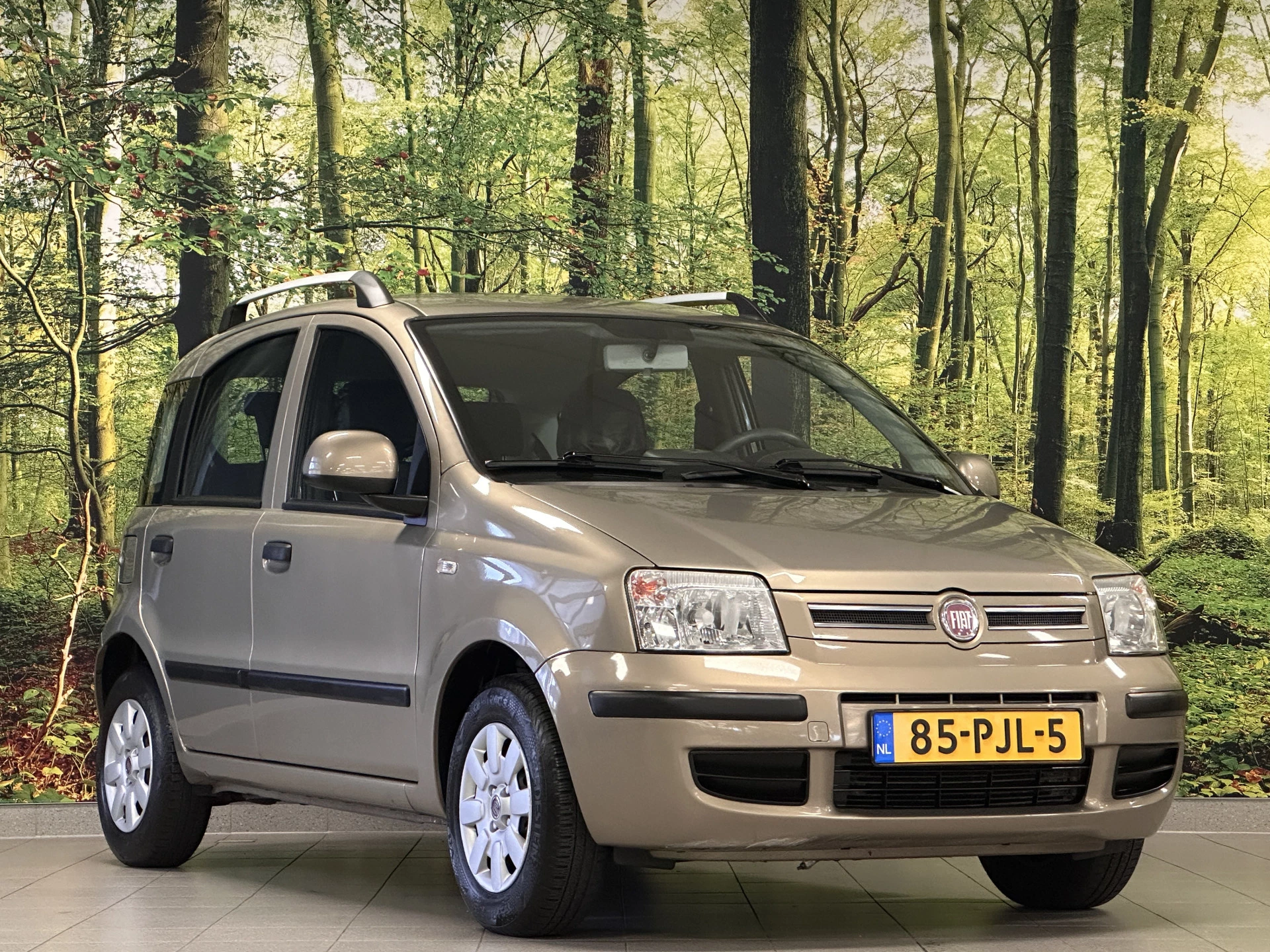 Hoofdafbeelding Fiat Panda