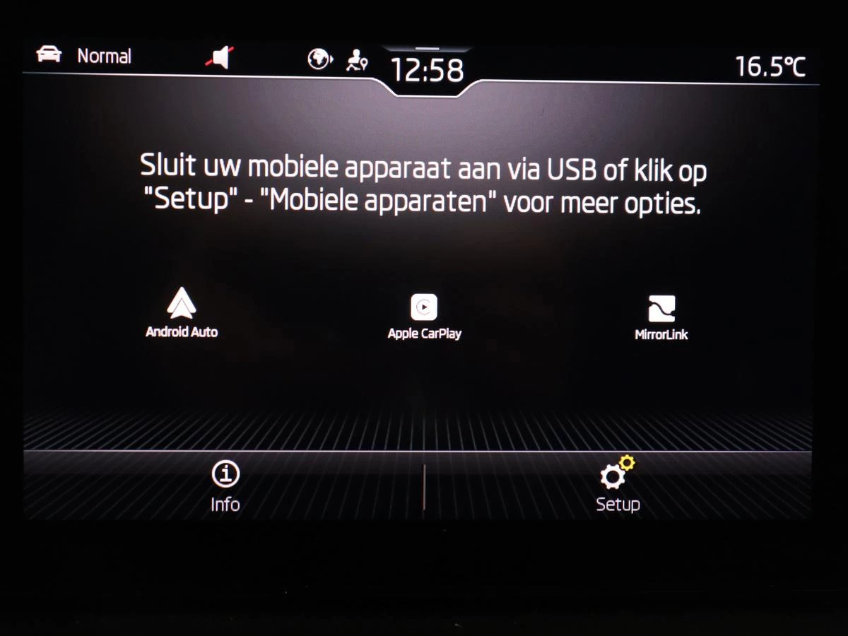 Hoofdafbeelding Škoda Kamiq