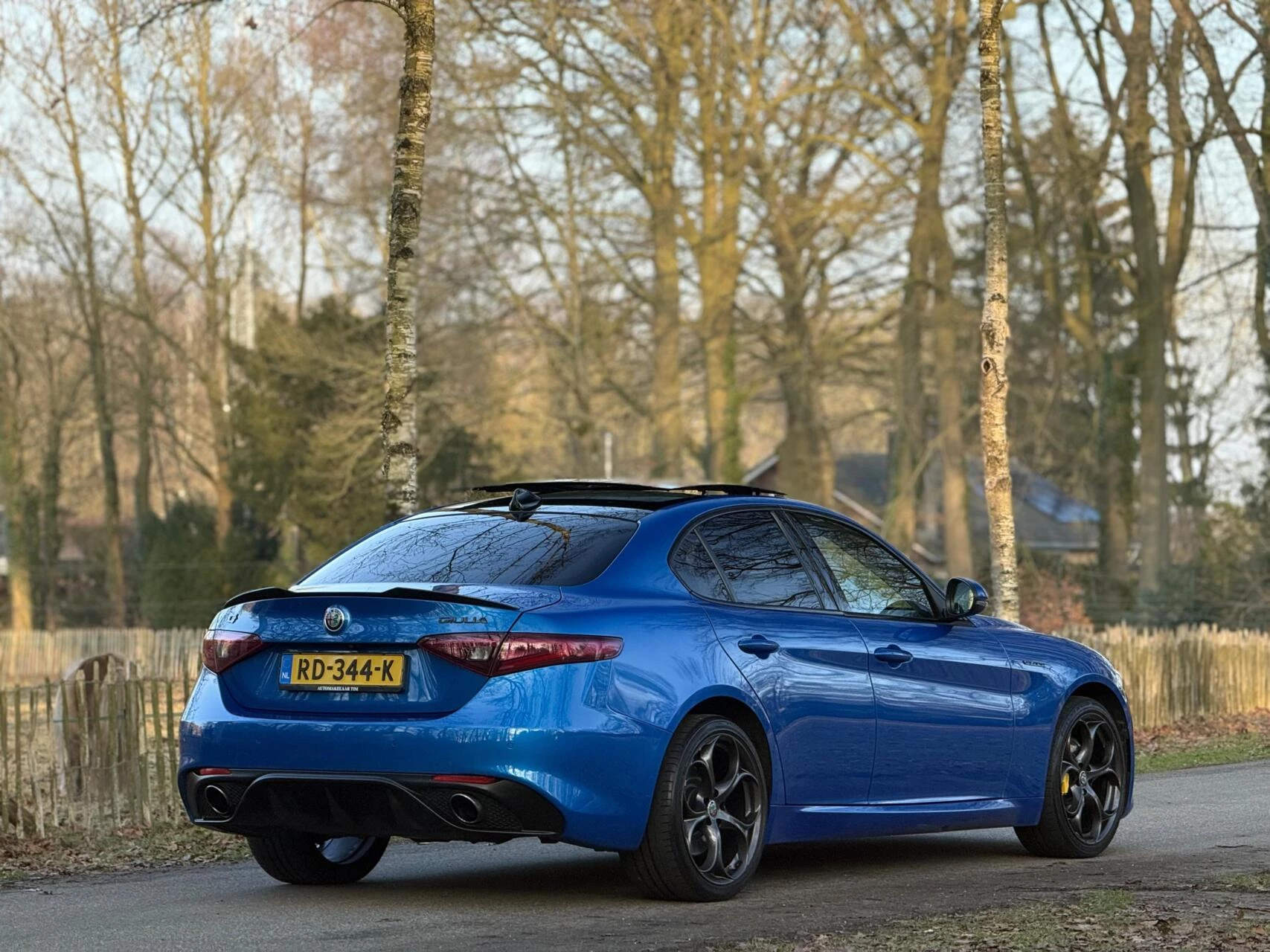 Hoofdafbeelding Alfa Romeo Giulia