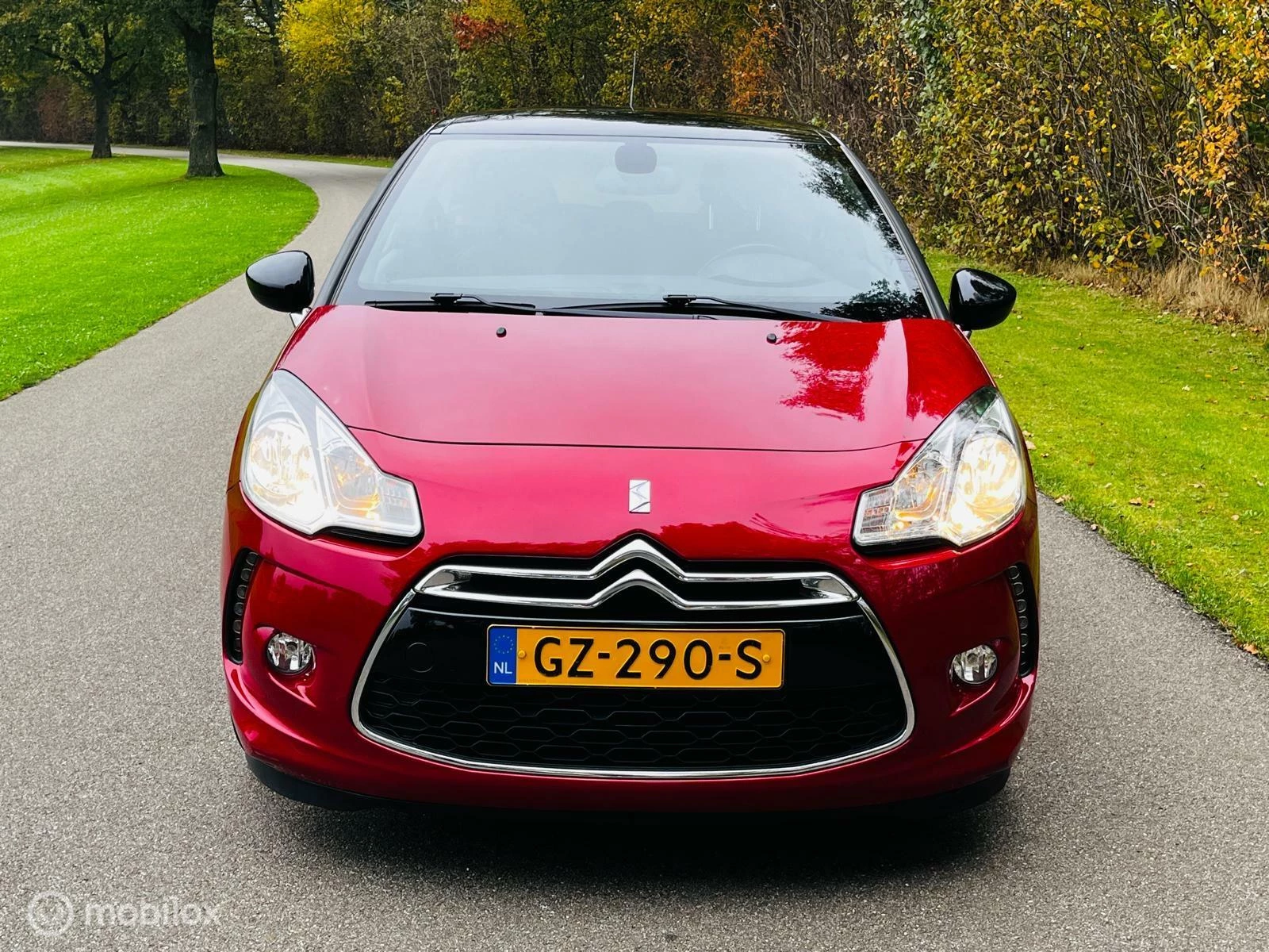 Hoofdafbeelding DS DS 3