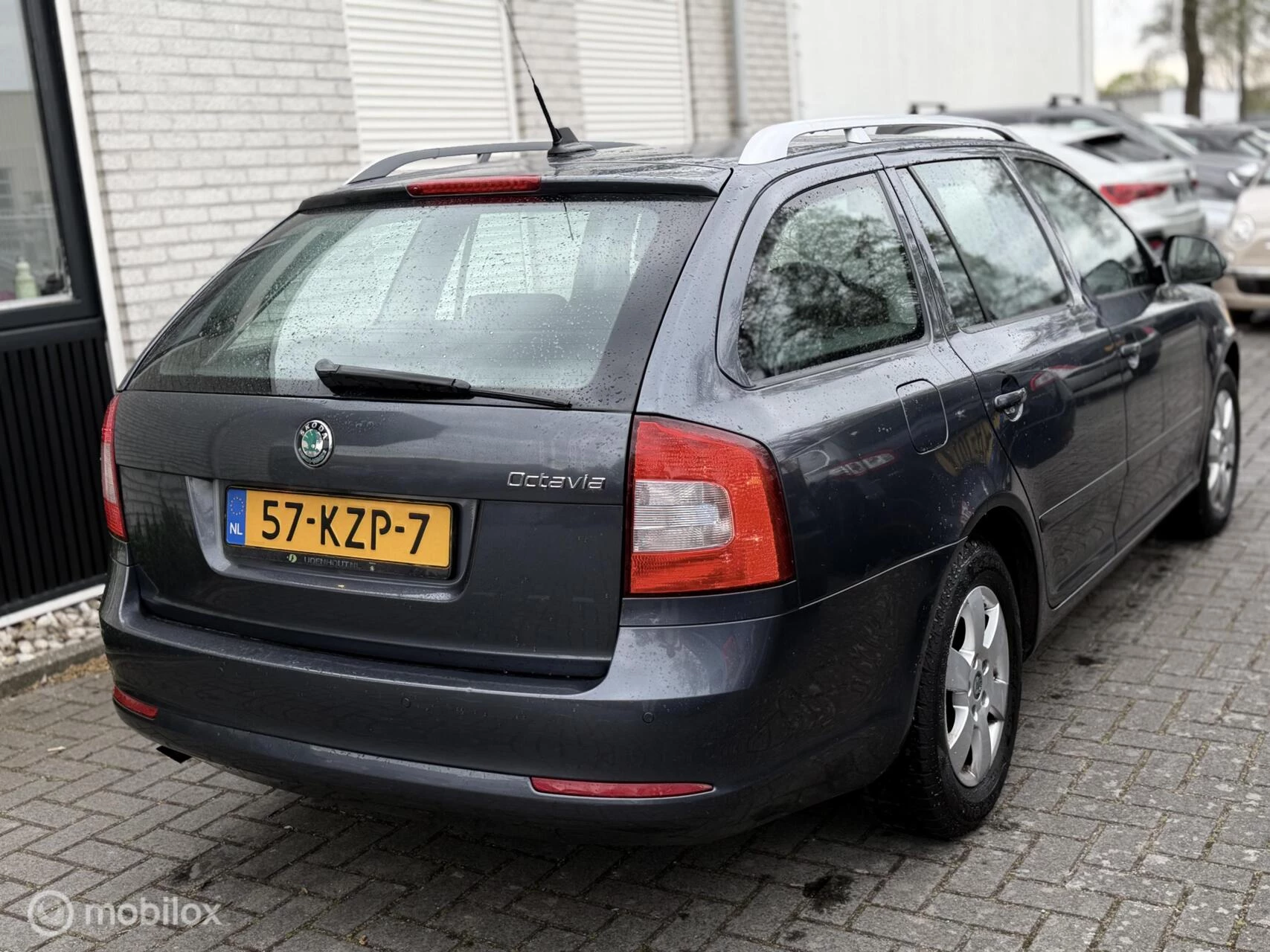 Hoofdafbeelding Škoda Octavia