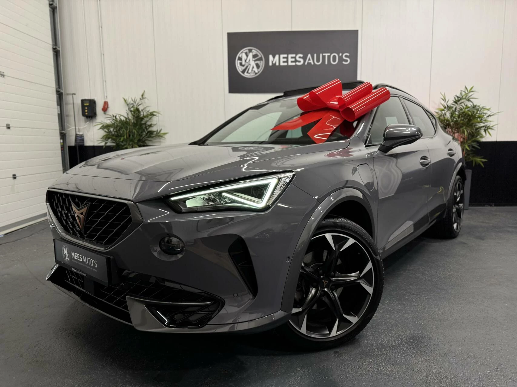Hoofdafbeelding CUPRA Formentor