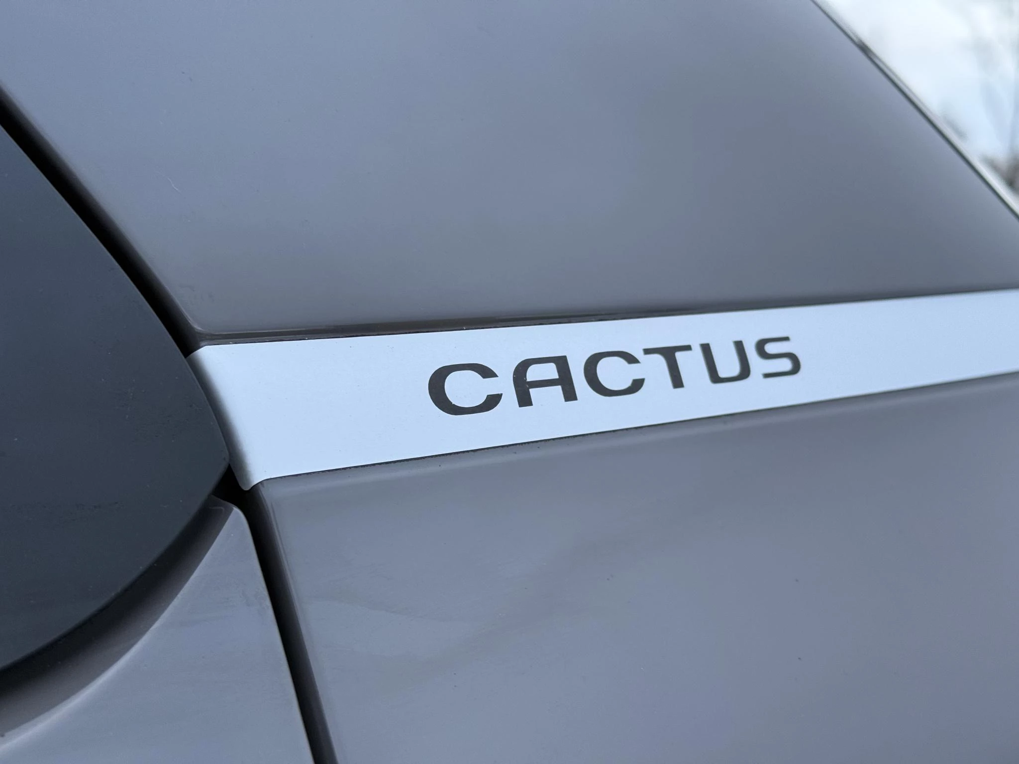 Hoofdafbeelding Citroën C4 Cactus