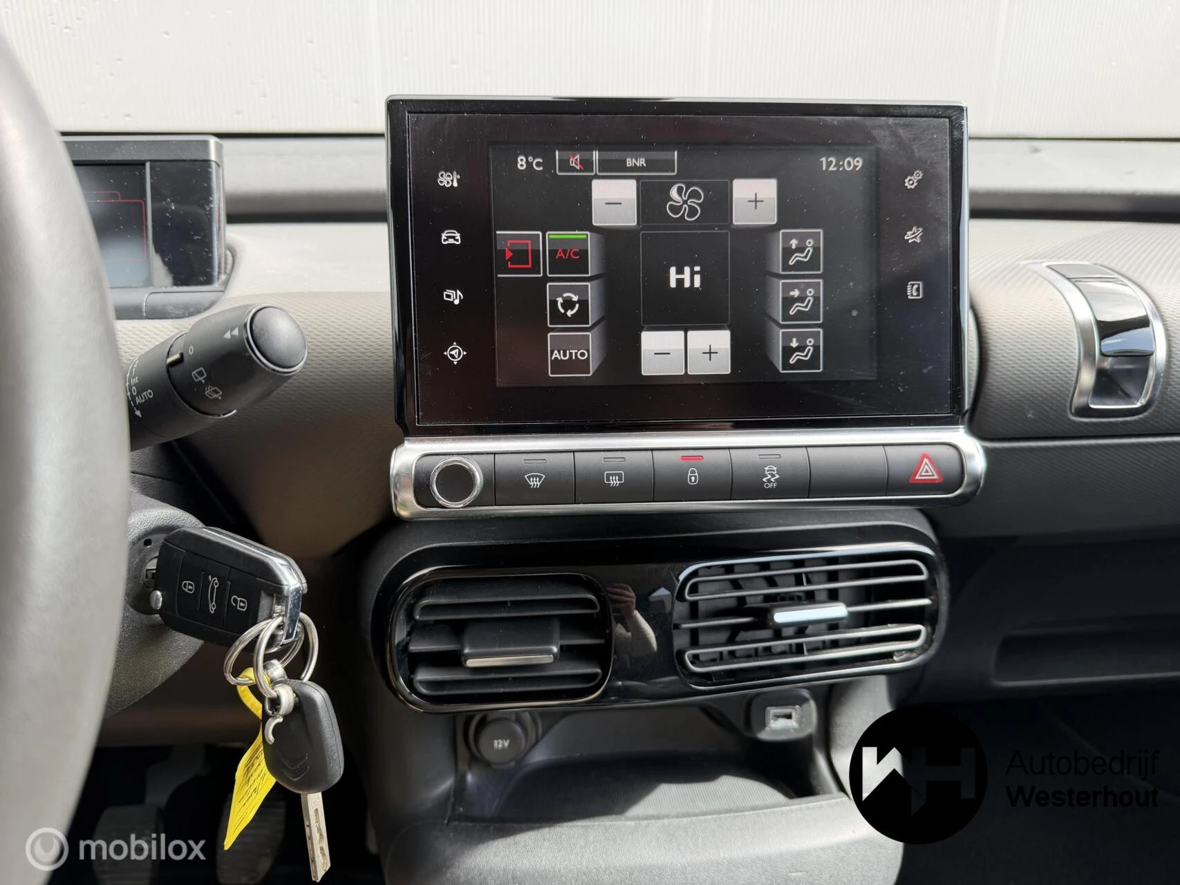 Hoofdafbeelding Citroën C4 Cactus