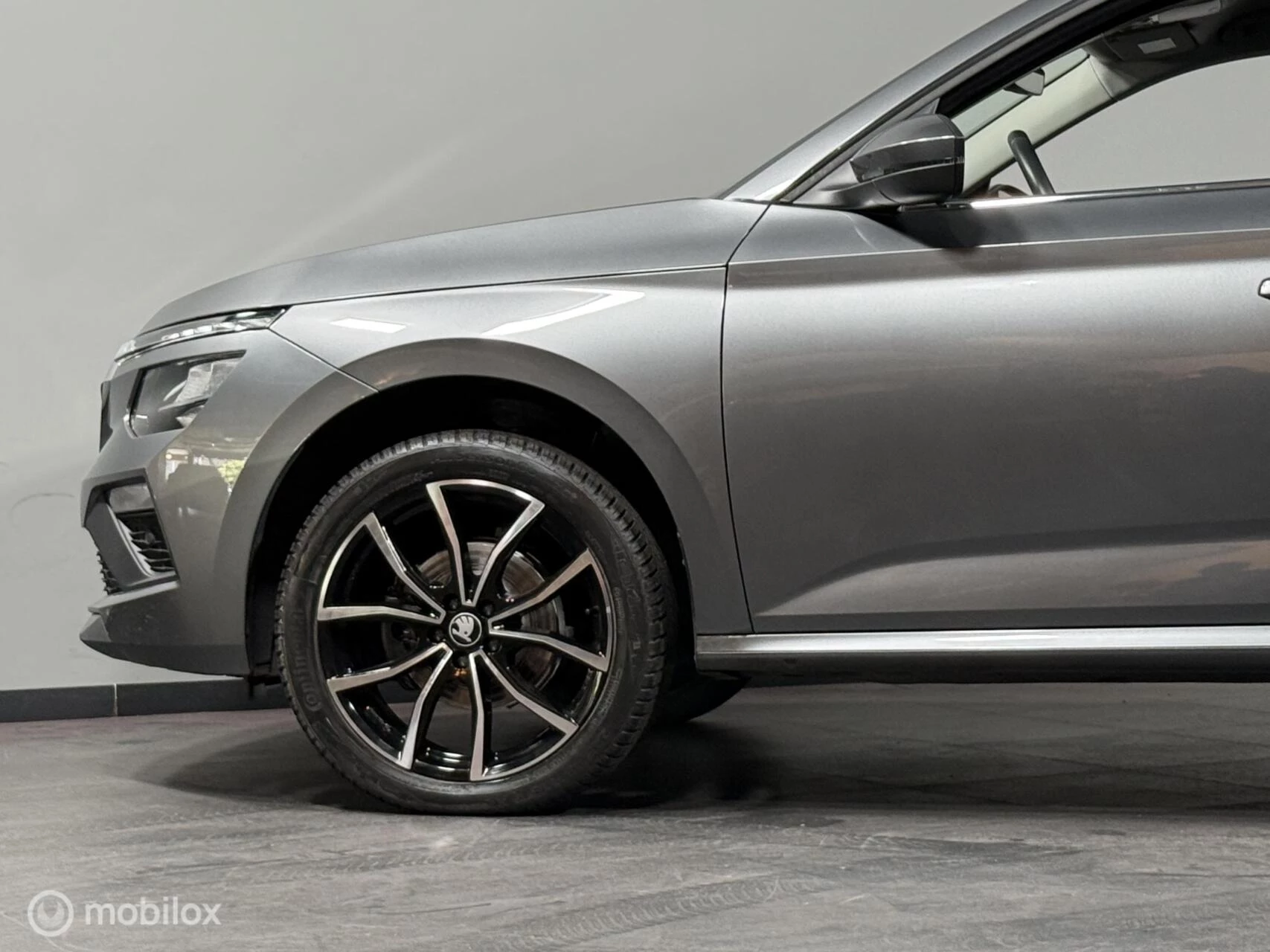 Hoofdafbeelding Škoda Kamiq