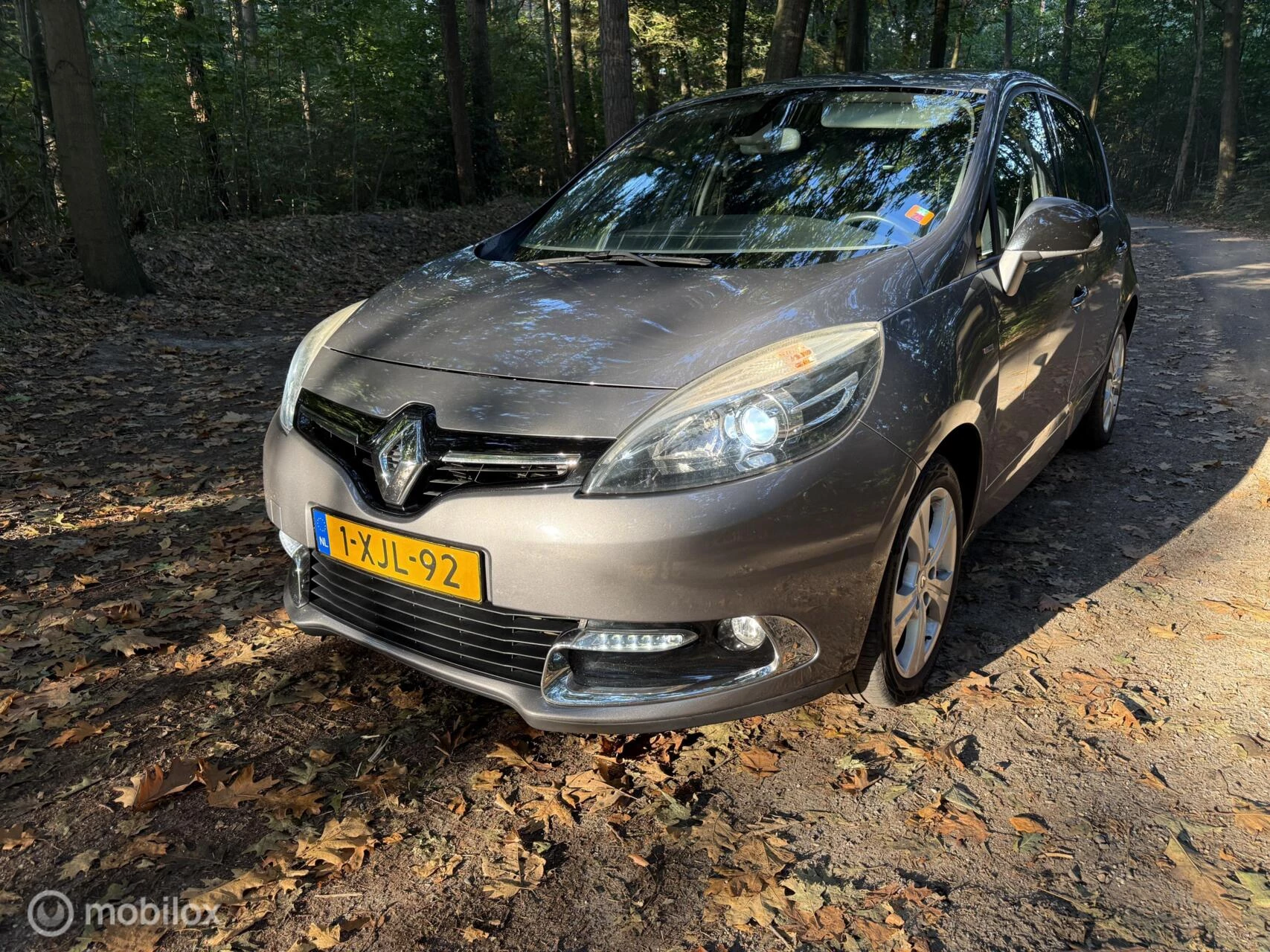 Hoofdafbeelding Renault Scénic