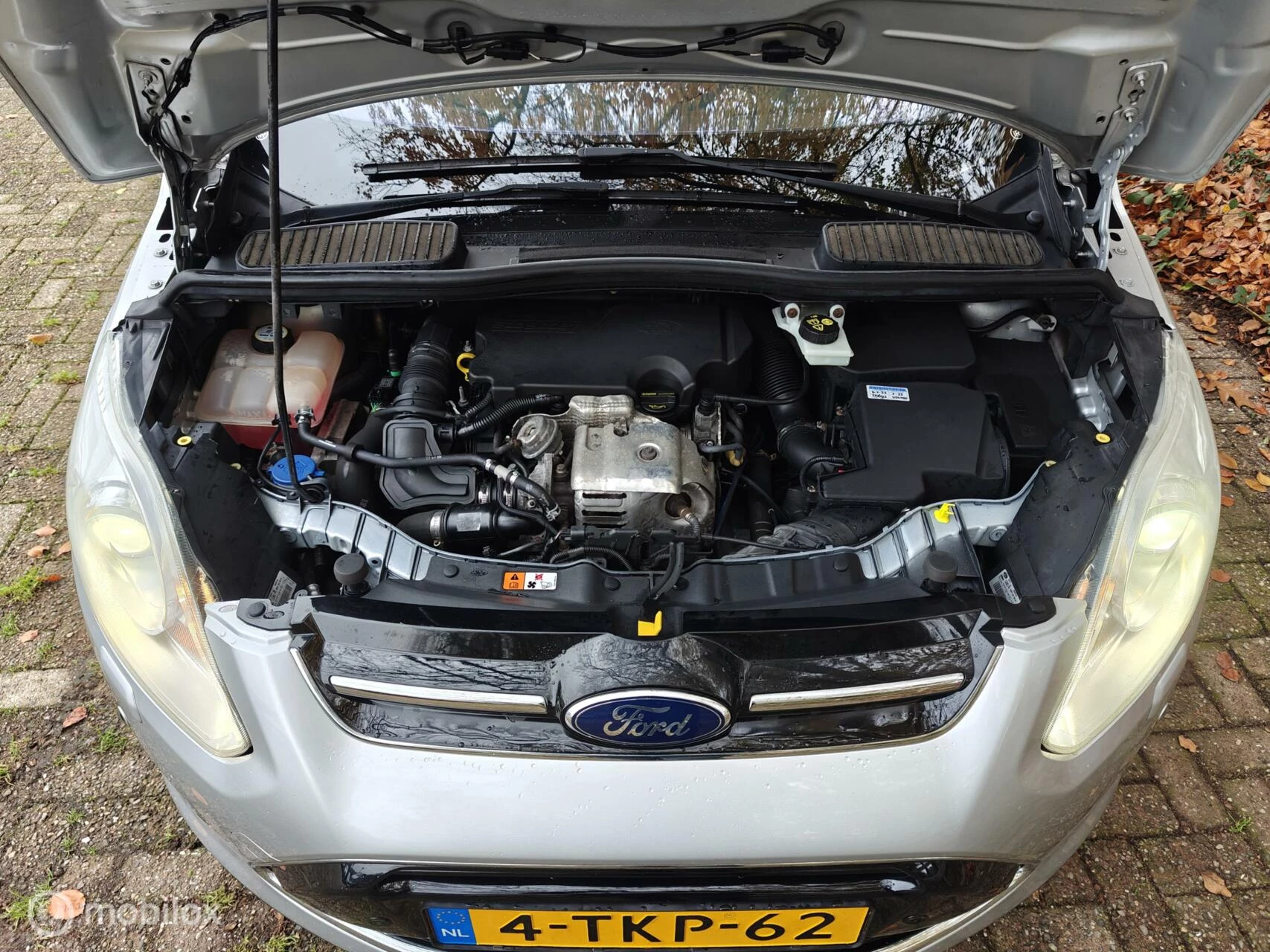 Hoofdafbeelding Ford C-MAX