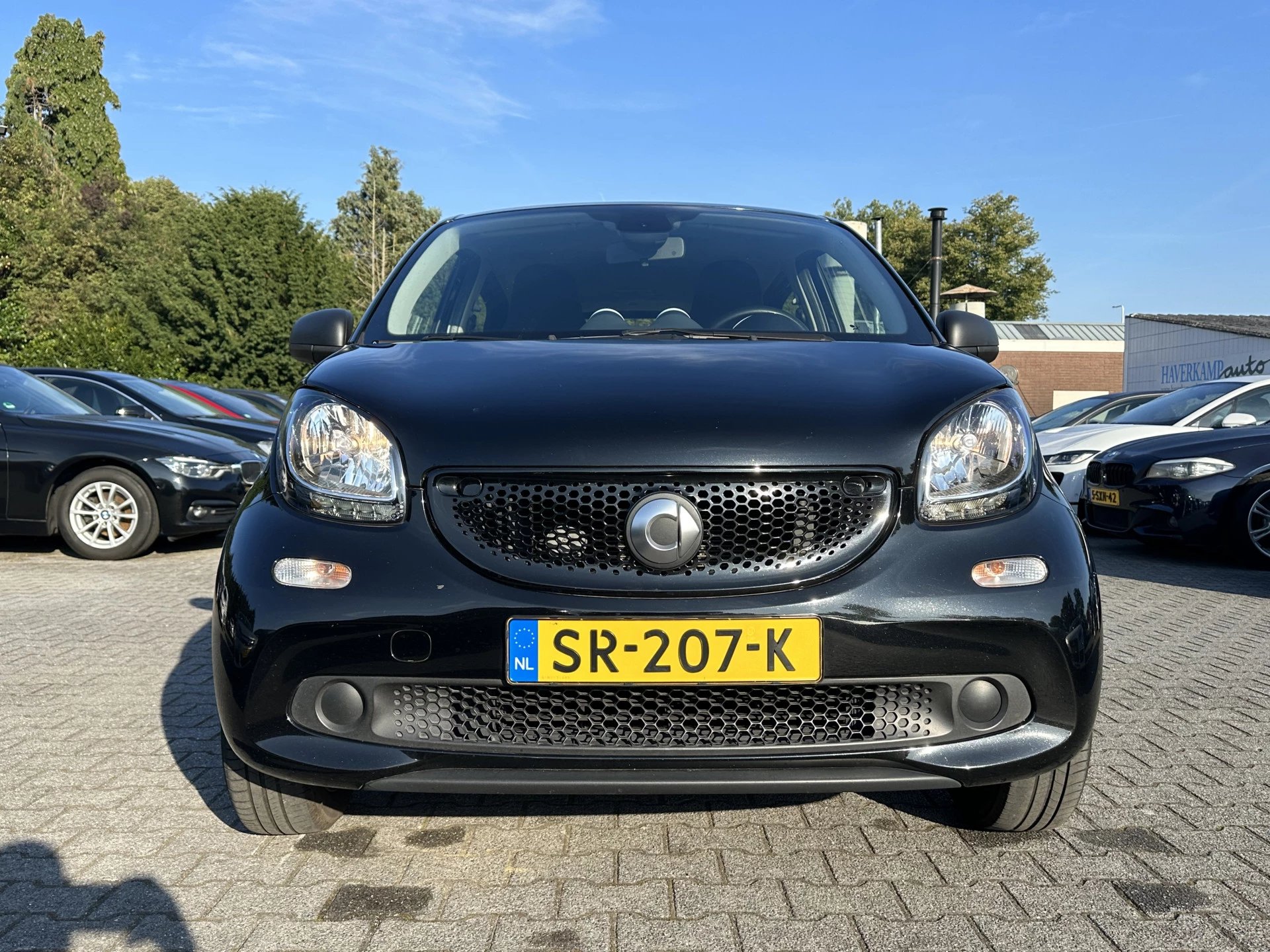 Hoofdafbeelding Smart Forfour