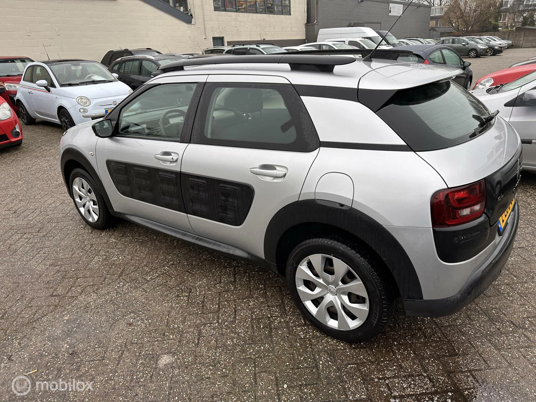 Hoofdafbeelding Citroën C4 Cactus