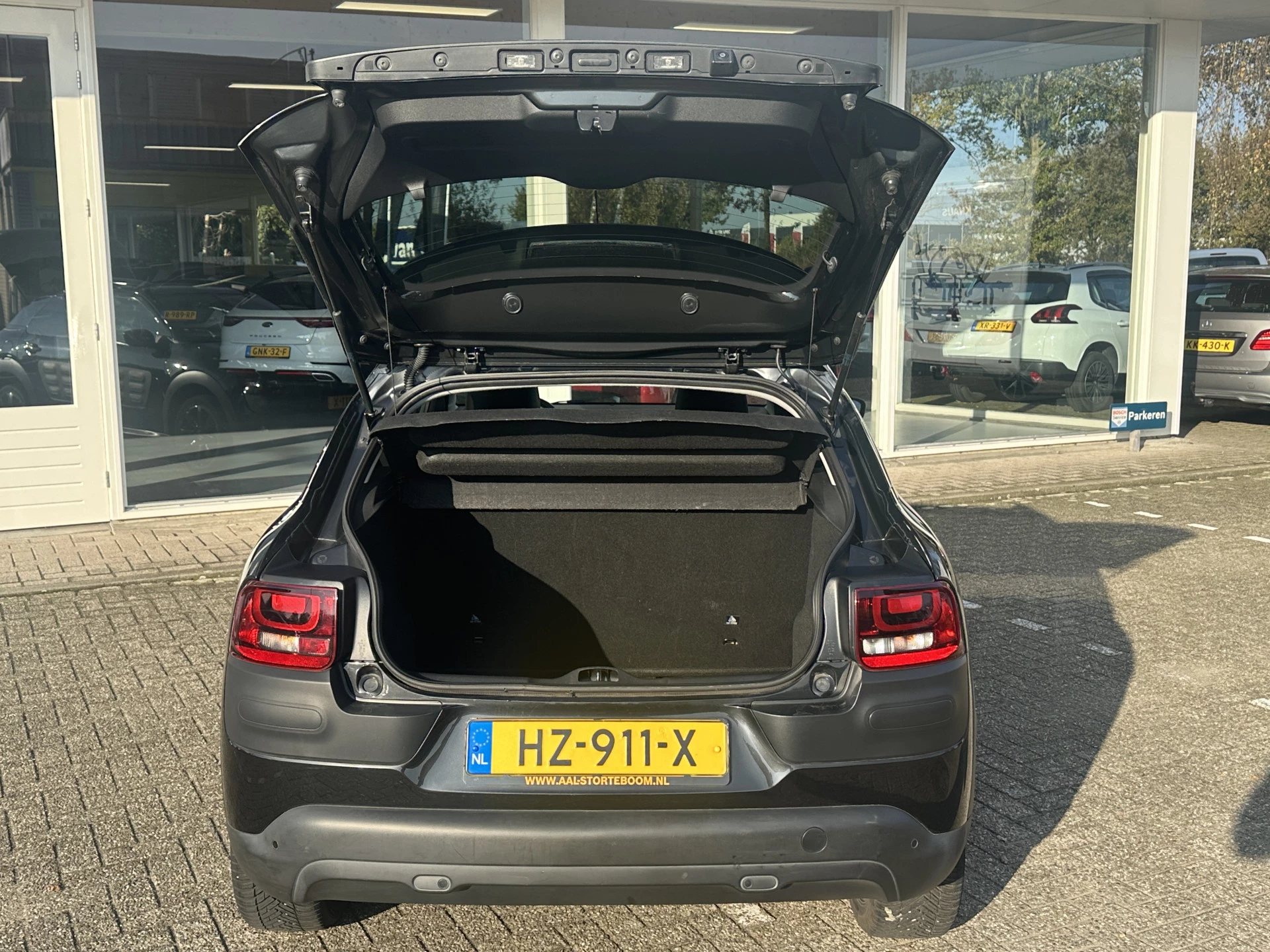 Hoofdafbeelding Citroën C4 Cactus