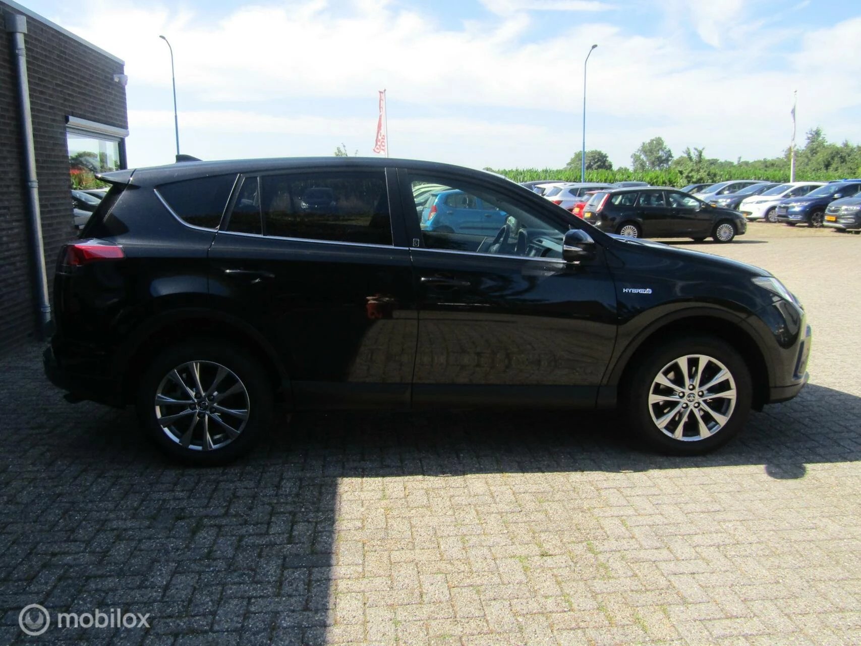 Hoofdafbeelding Toyota RAV4