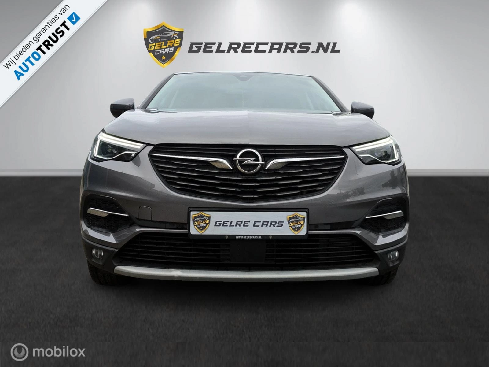 Hoofdafbeelding Opel Grandland X