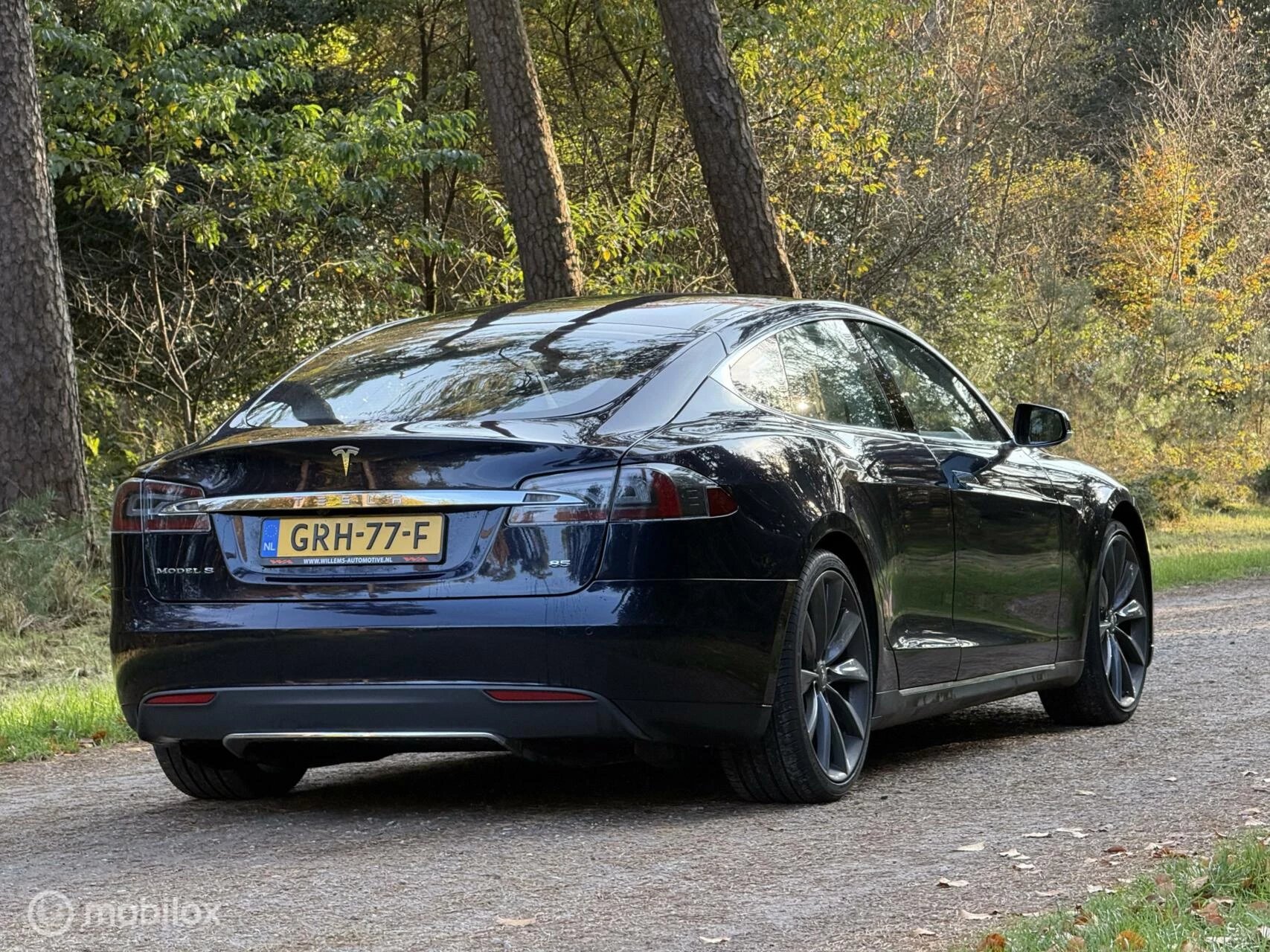 Hoofdafbeelding Tesla Model S