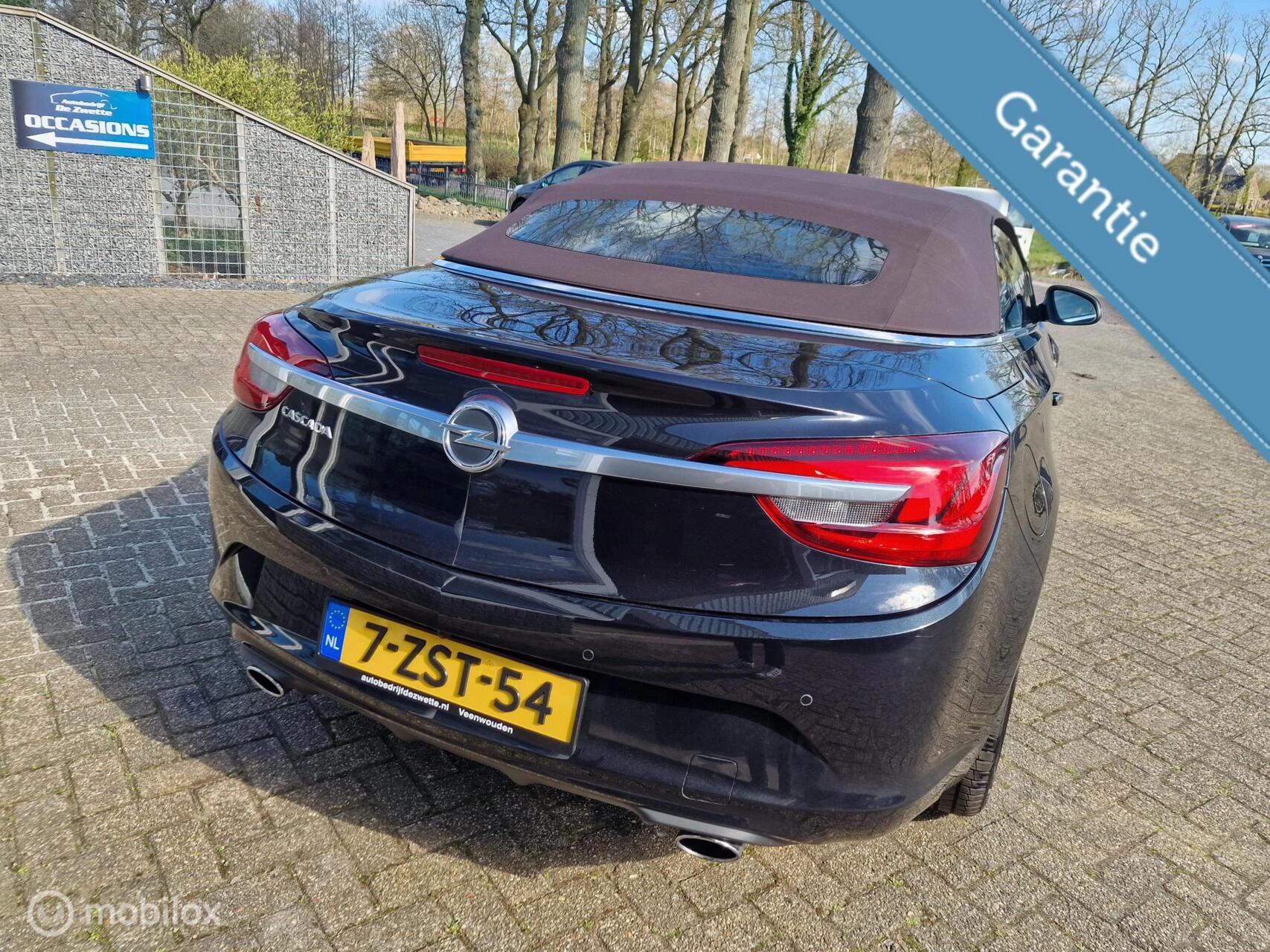 Hoofdafbeelding Opel Cascada