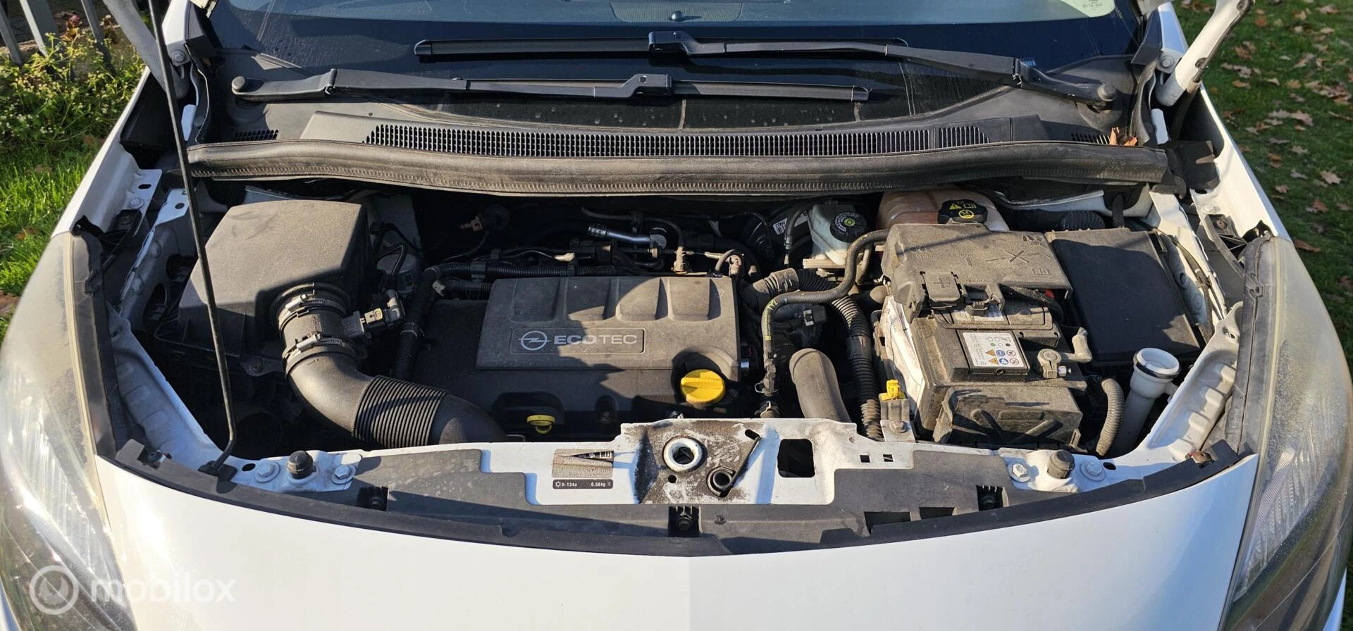 Hoofdafbeelding Opel Meriva