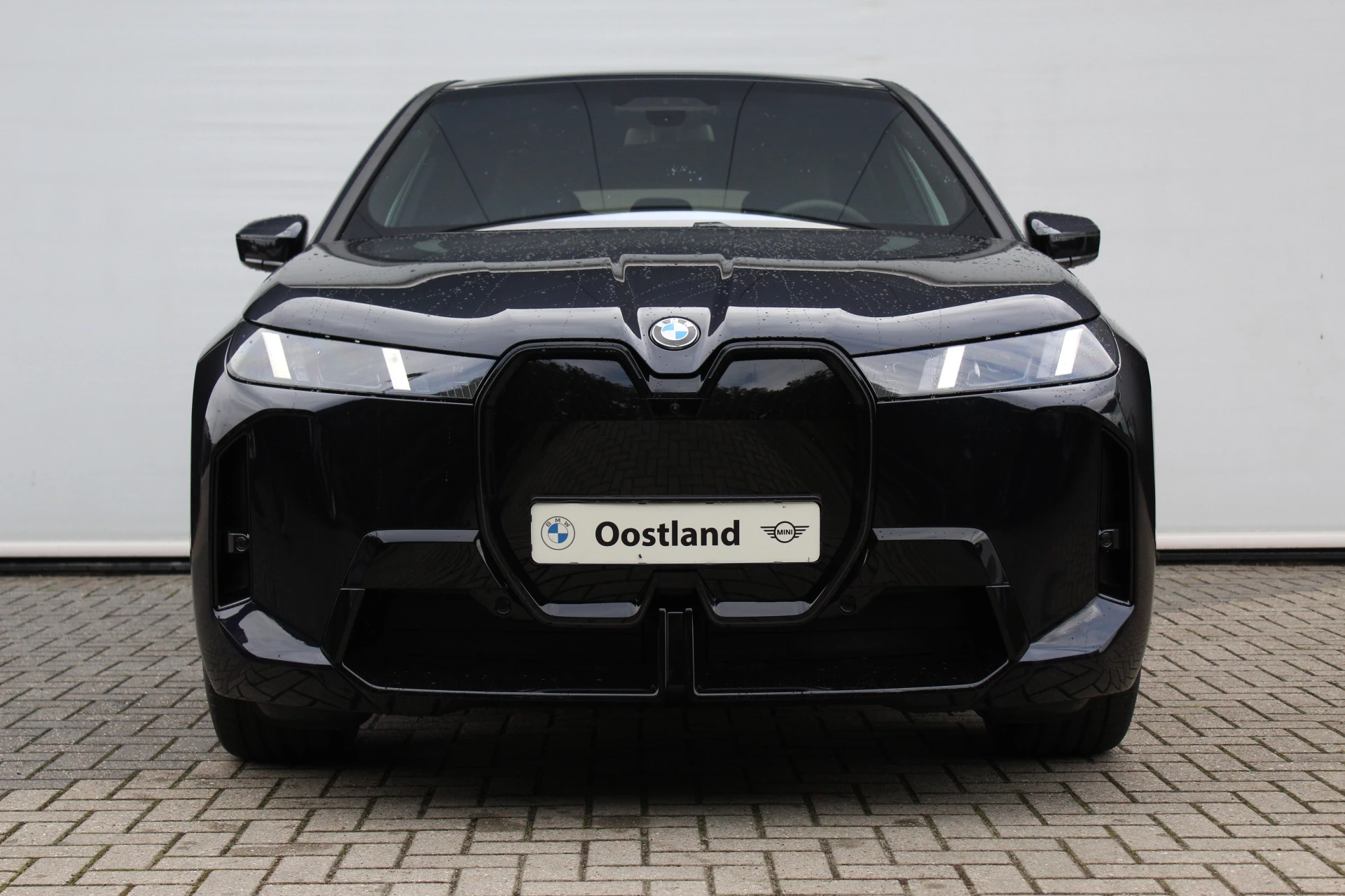 Hoofdafbeelding BMW iX