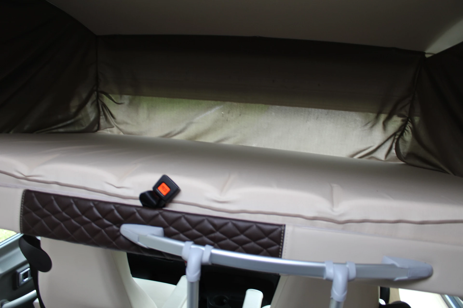 Hoofdafbeelding McLouis YEARLING