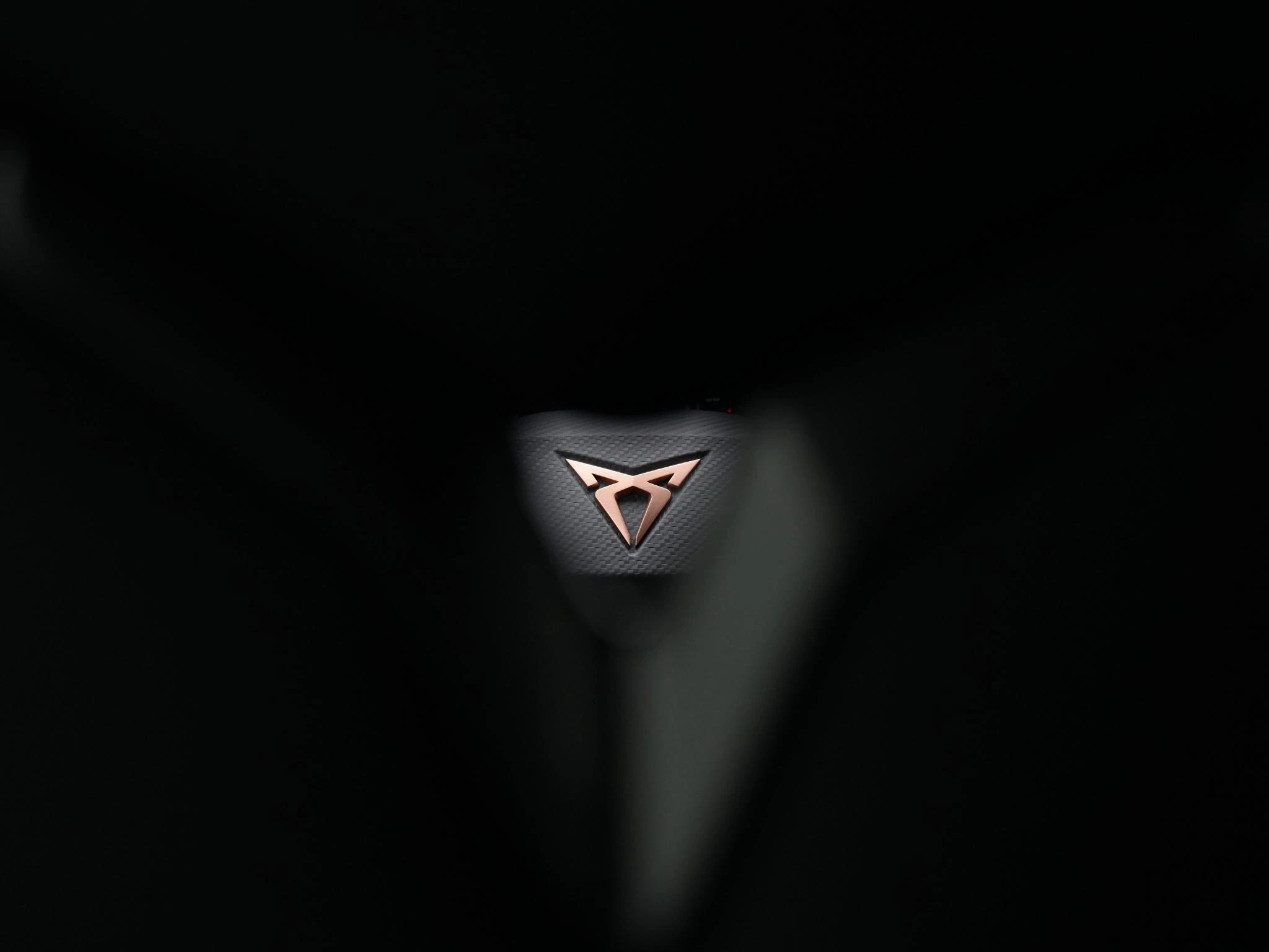 Hoofdafbeelding CUPRA Terramar