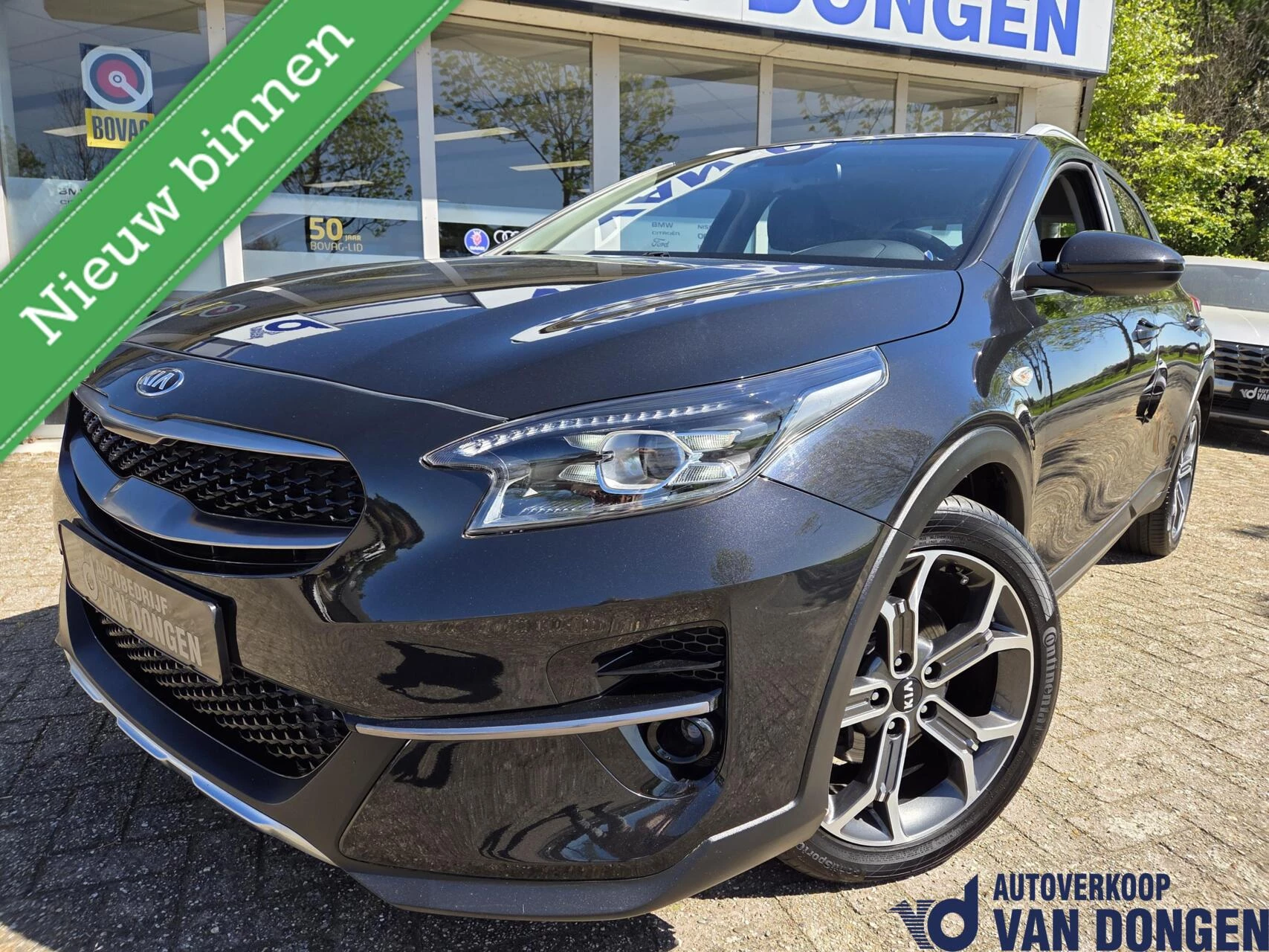 Hoofdafbeelding Kia XCeed