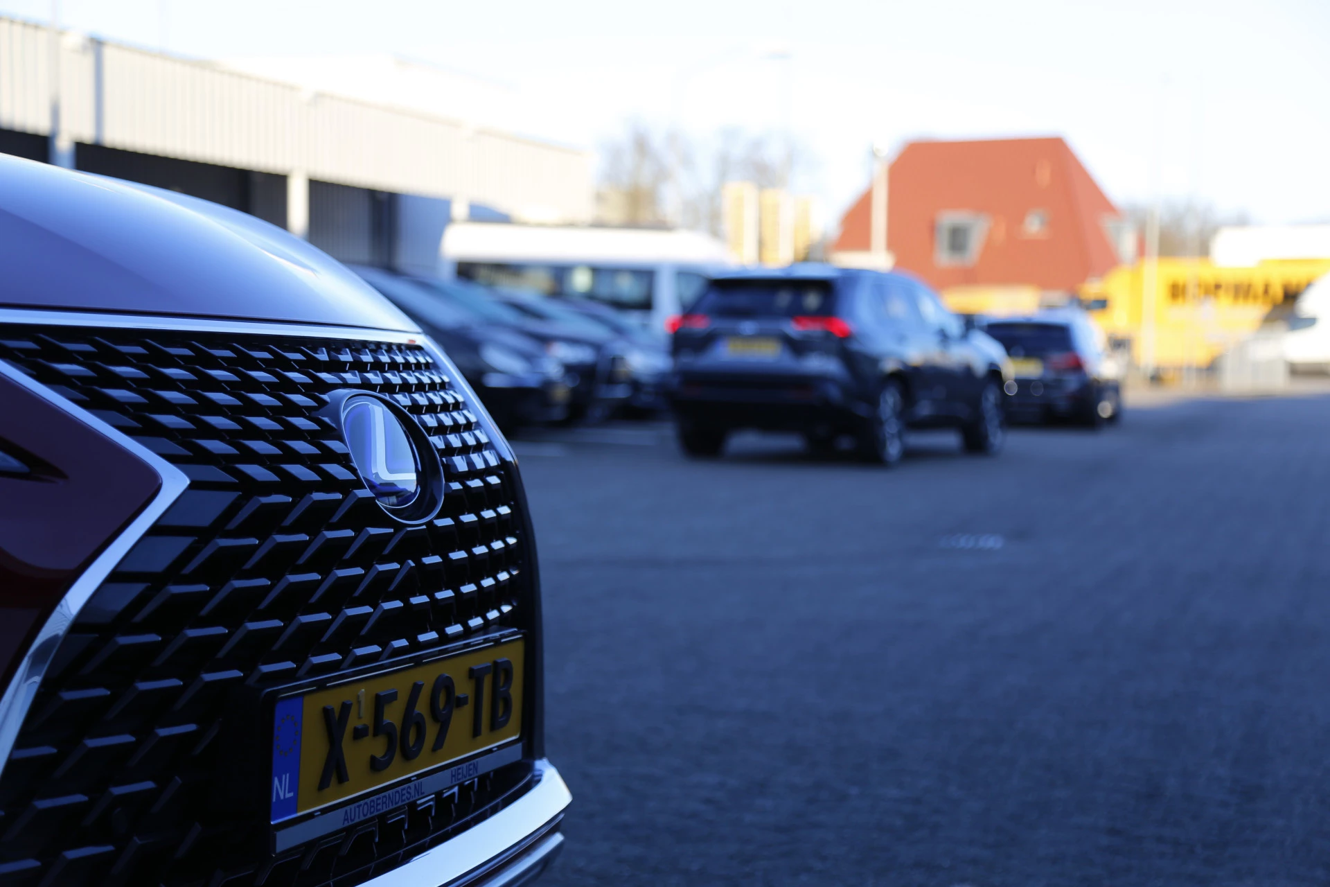 Hoofdafbeelding Lexus RX